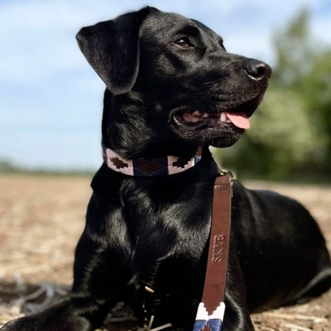 Pampeano Dog Lead - Image 15