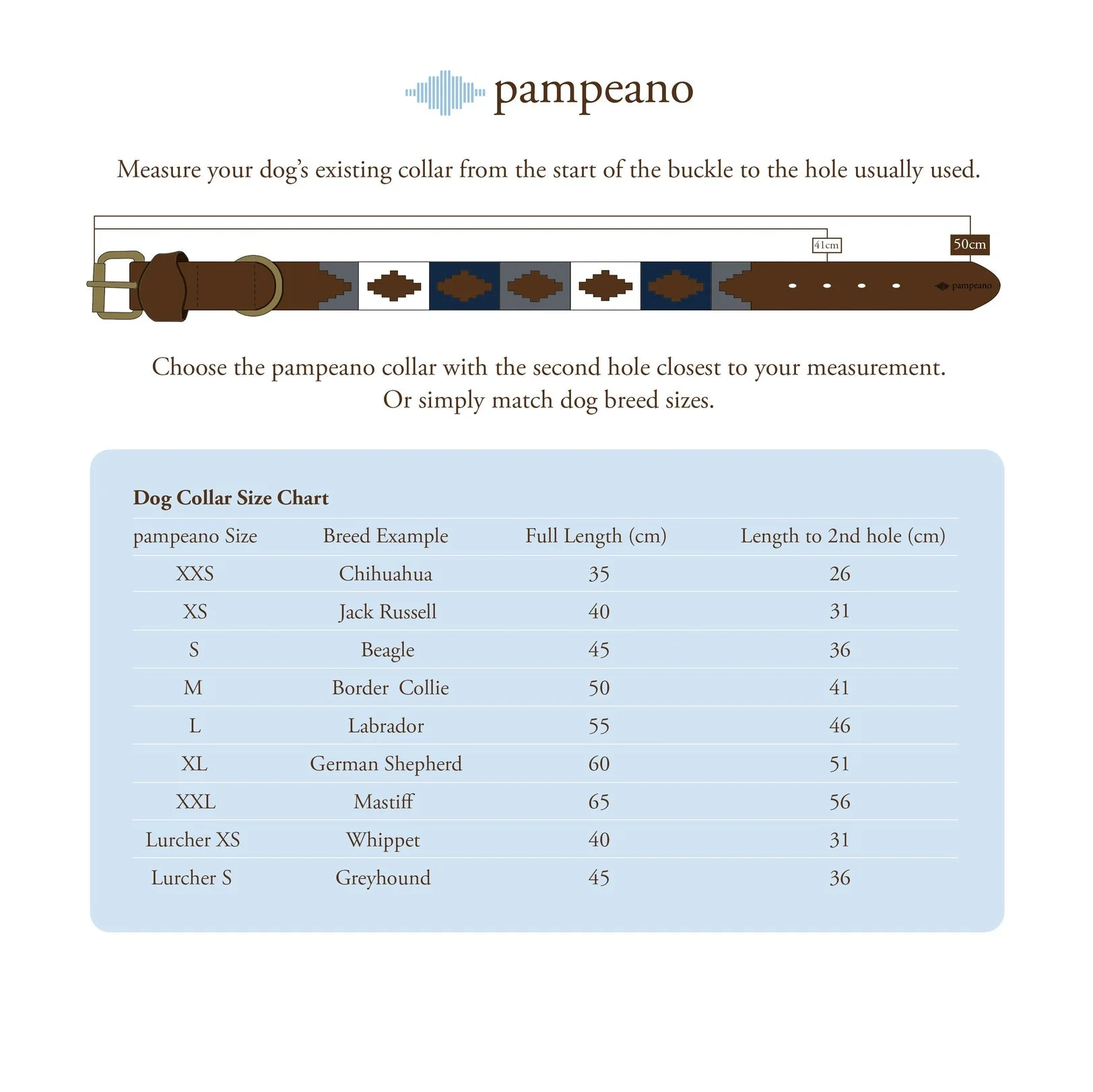 Pampeano Pampa Dog Collar - Image 32