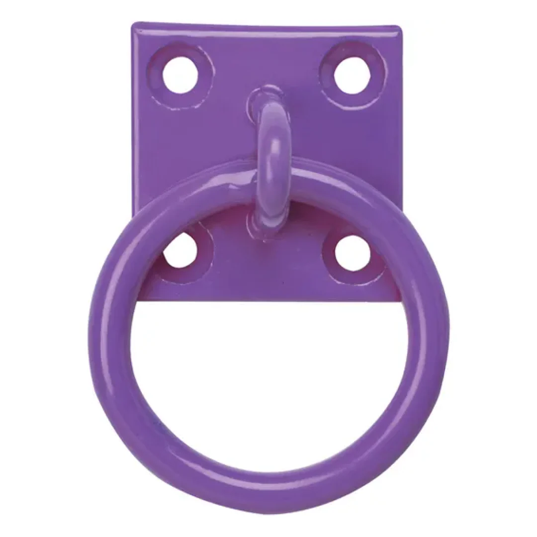 Perry Equestrian Chain Ring on Plate - Pack of 2 - Image 3