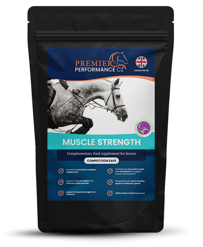 Premier Performance Muscle Strength
