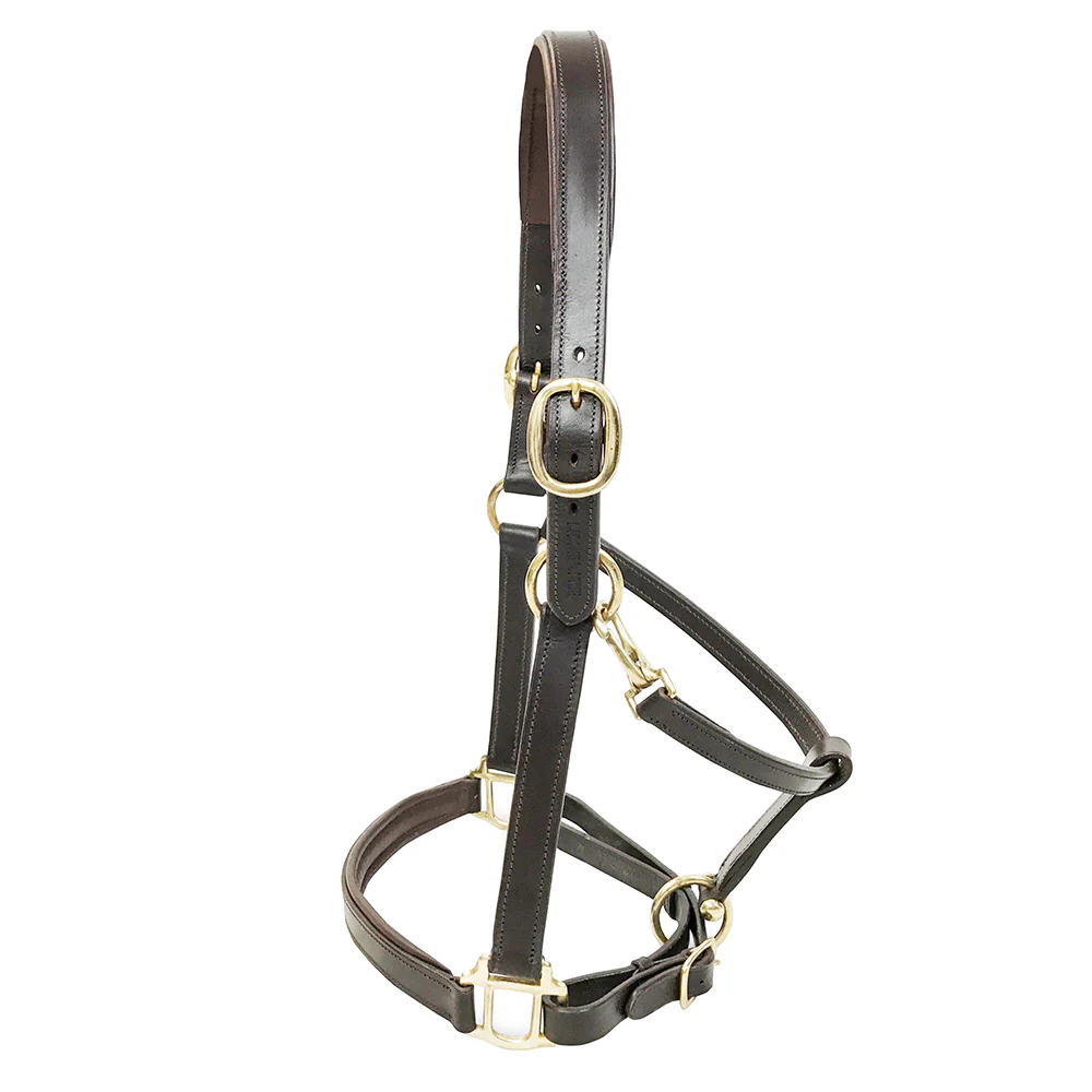 KM Elite Primera Padded Leather Headcollar - Image 2