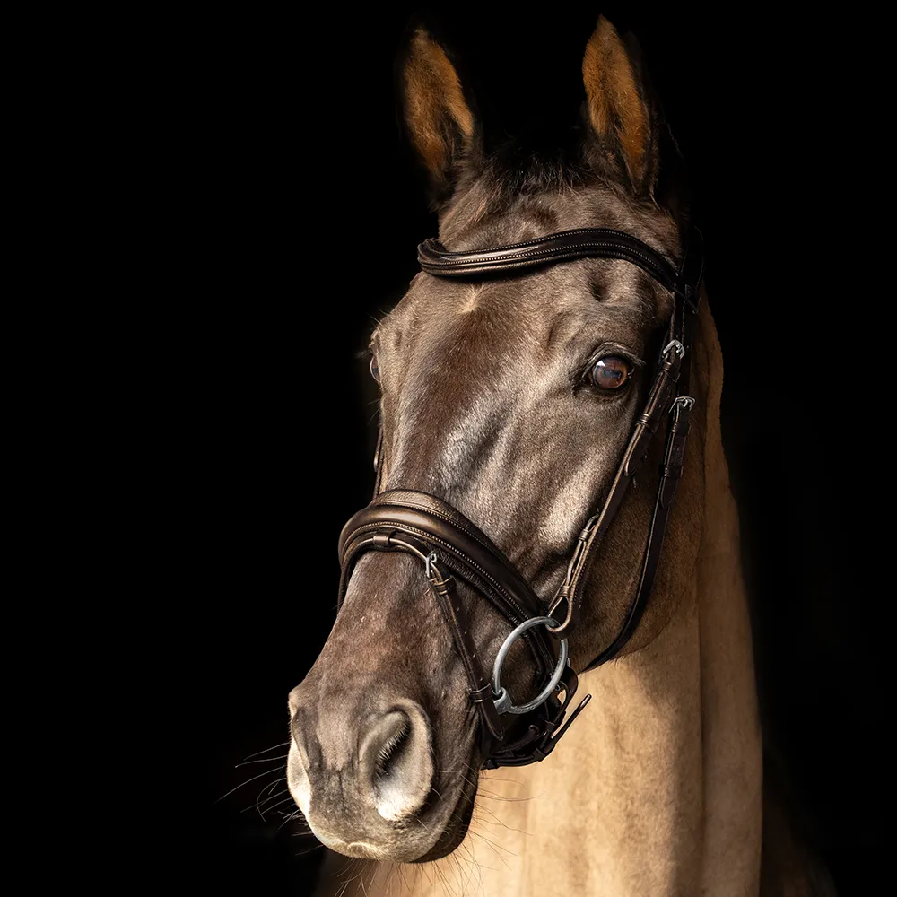 ProPresicce Pelle Crank Leather Bridle by Hy Equestrian - Image 4