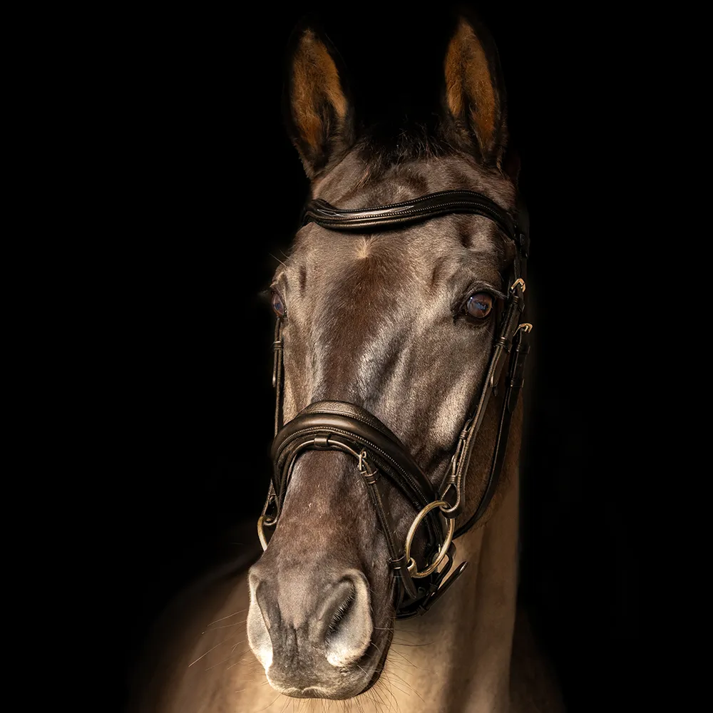 ProPresicce Pelle Crank Leather Bridle by Hy Equestrian - Image 6