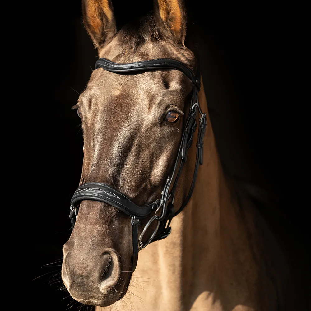 ProPresicce Pelle Drop Leather Bridle by Hy Equestrian - Image 2