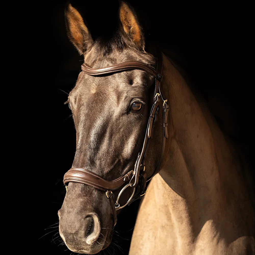 ProPresicce Pelle Drop Leather Bridle by Hy Equestrian - Image 6