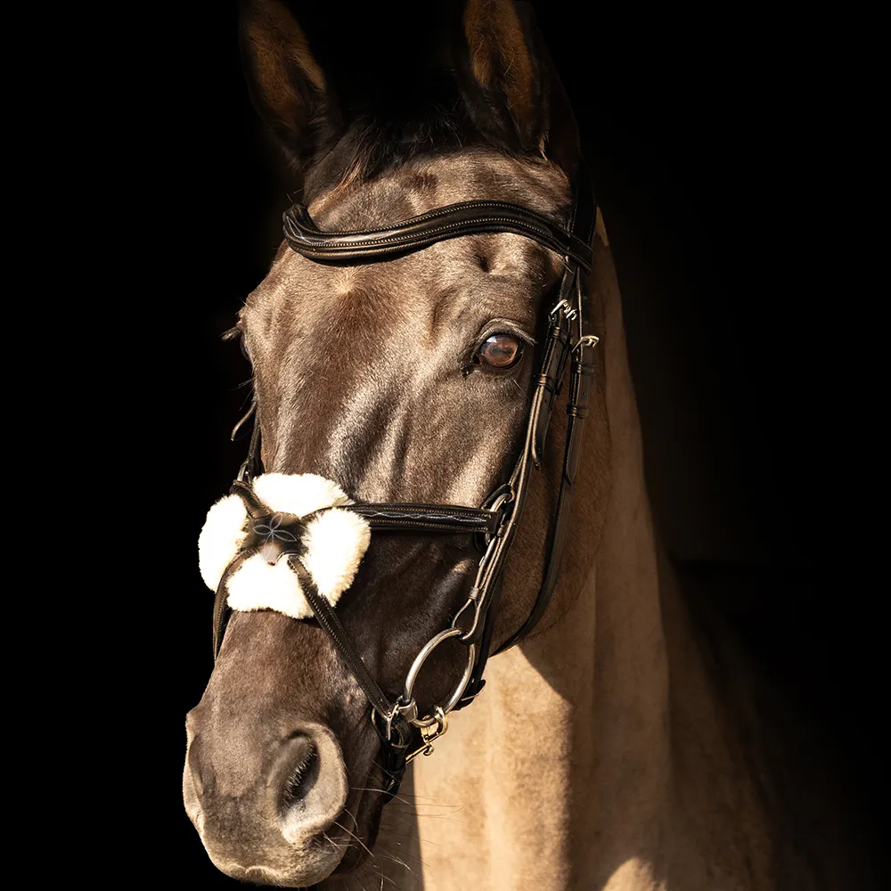 ProPresicce Pelle Grackle Leather Bridle by Hy Equestrian - Image 4