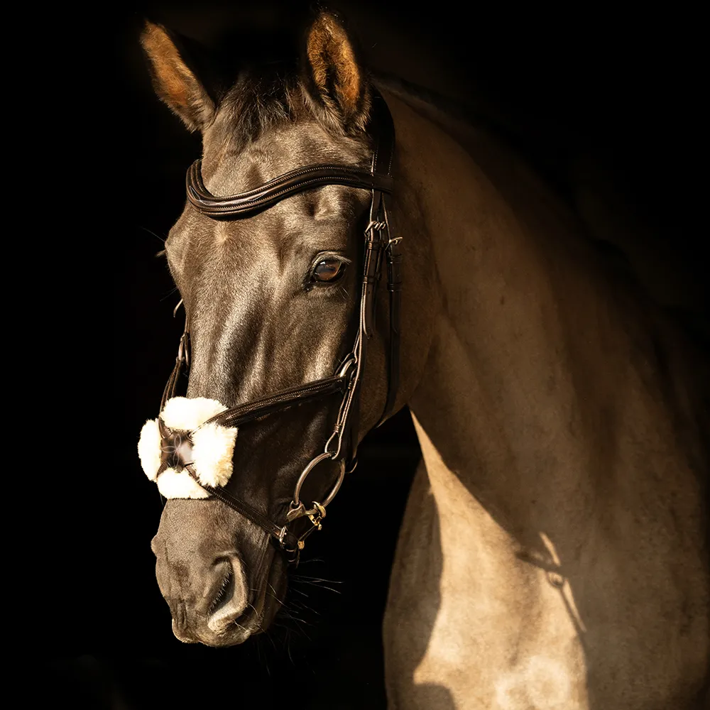 ProPresicce Pelle Grackle Leather Bridle by Hy Equestrian - Image 6