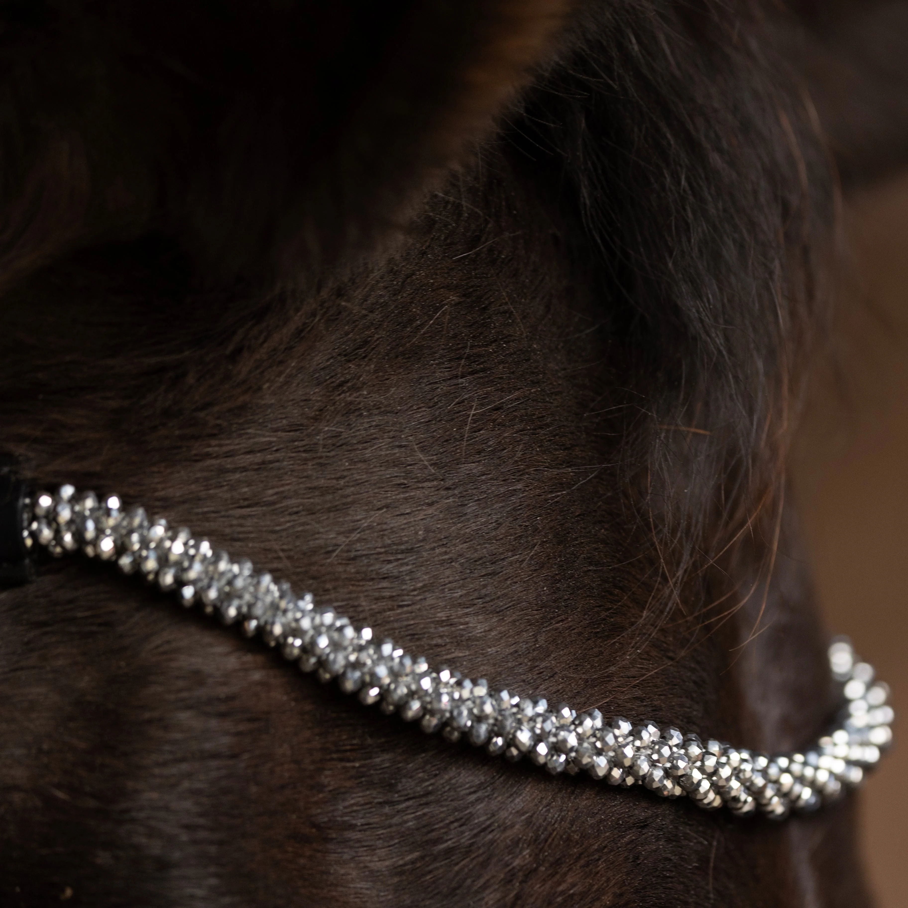 ProPresicce Signature Crystal Diamante Browband by Hy Equestrian - Image 6