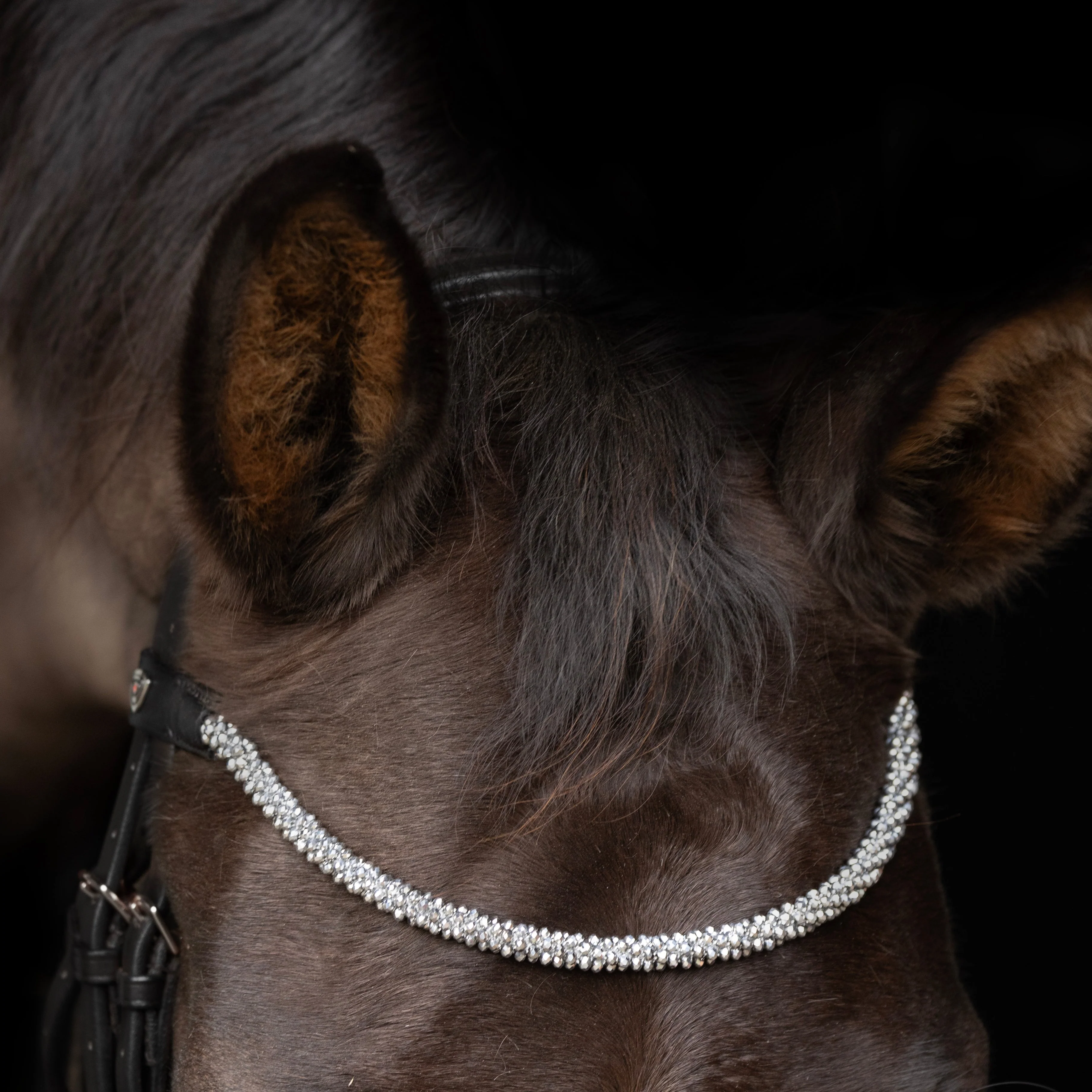 ProPresicce Signature Crystal Diamante Browband by Hy Equestrian - Image 7