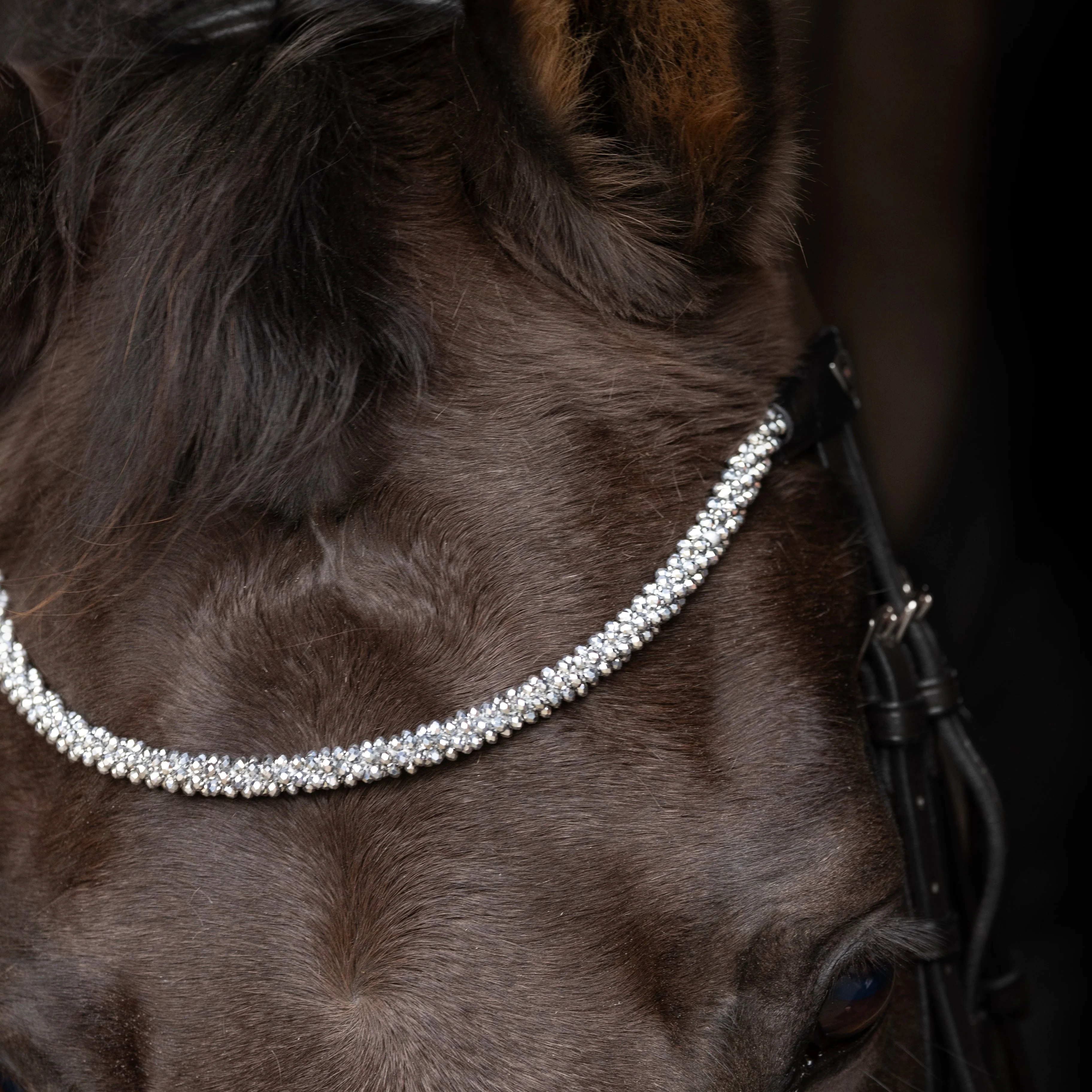 ProPresicce Signature Crystal Diamante Browband by Hy Equestrian - Image 8