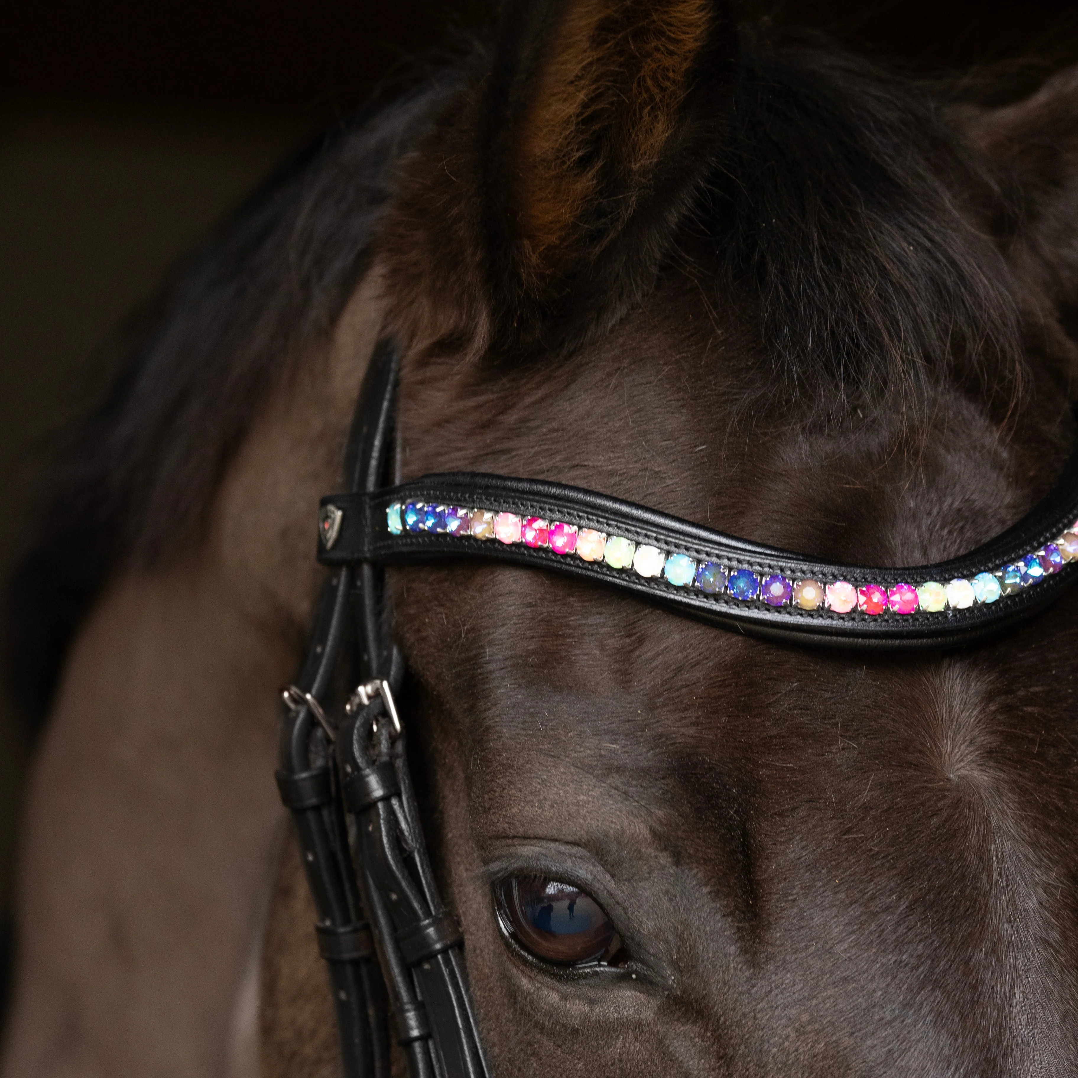 ProPresicce Signature Curved Diamante Browband by Hy Equestrian - Image 7