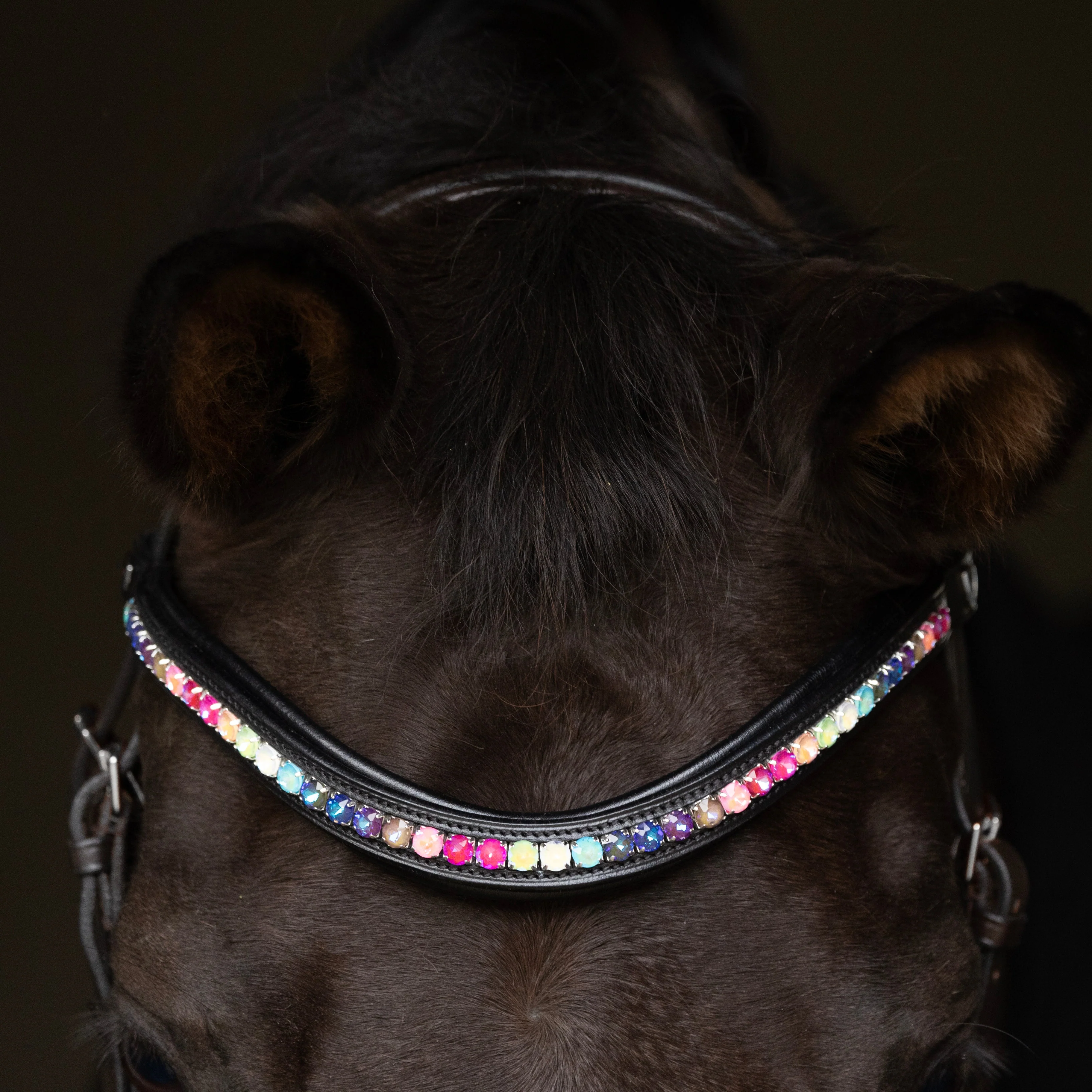 ProPresicce Signature Curved Diamante Browband by Hy Equestrian - Image 8