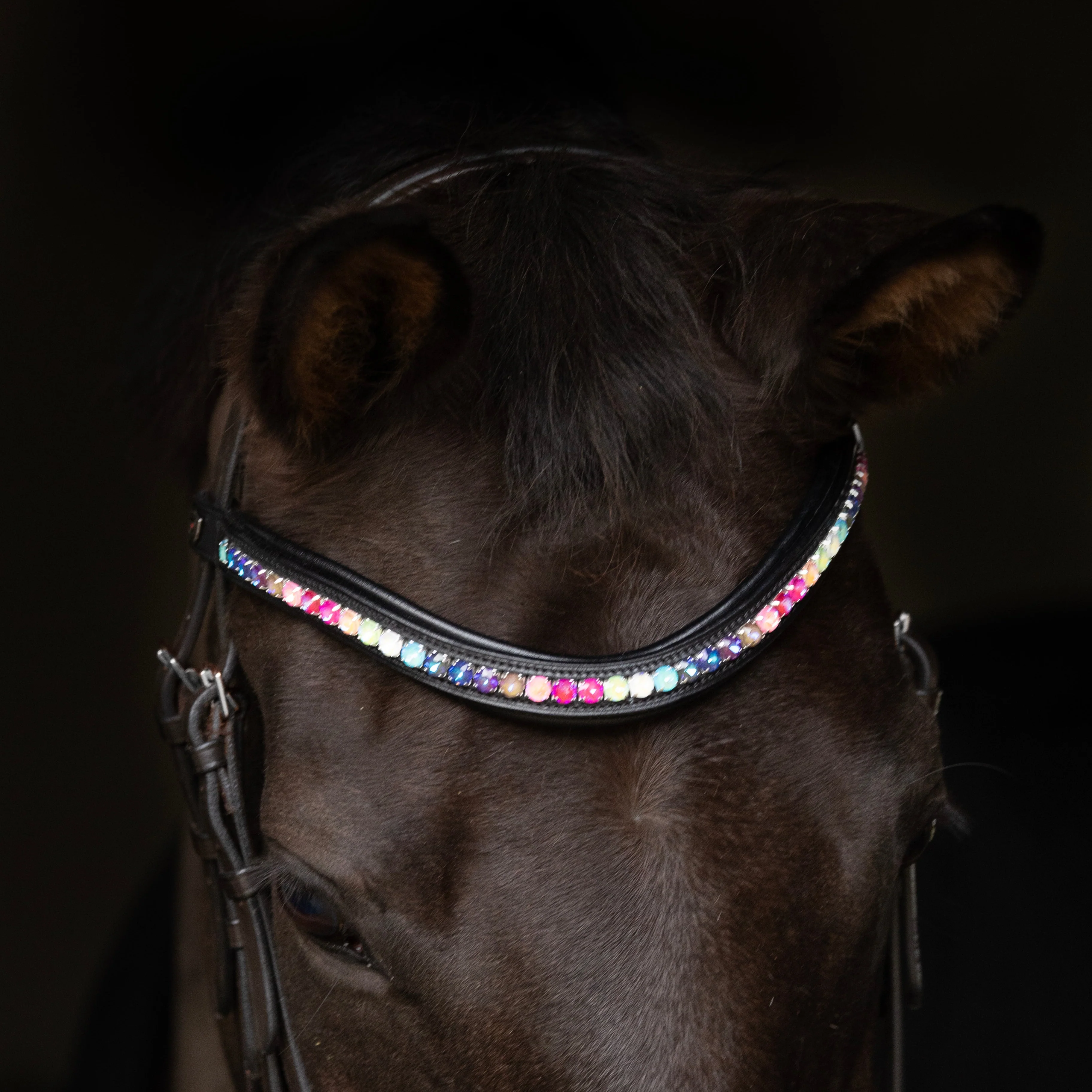 ProPresicce Signature Curved Diamante Browband by Hy Equestrian - Image 9