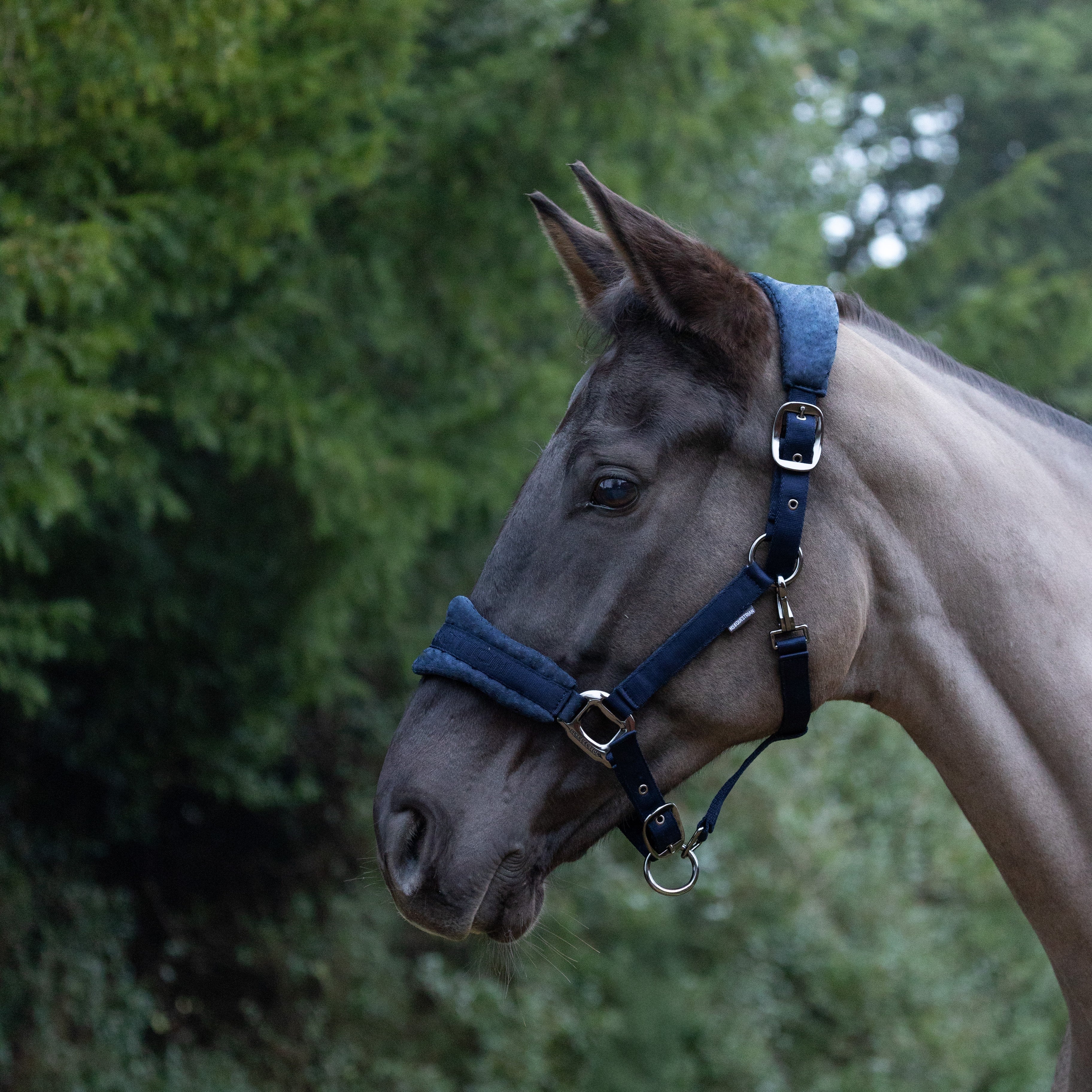 ProReaction Dura Fleece Head Collar by Hy Equestrian - Image 6
