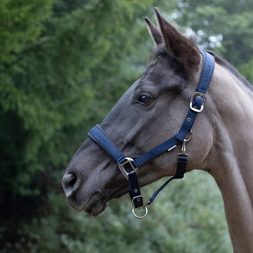 ProReaction Transform Head Collar by Hy Equestrian - Image 3