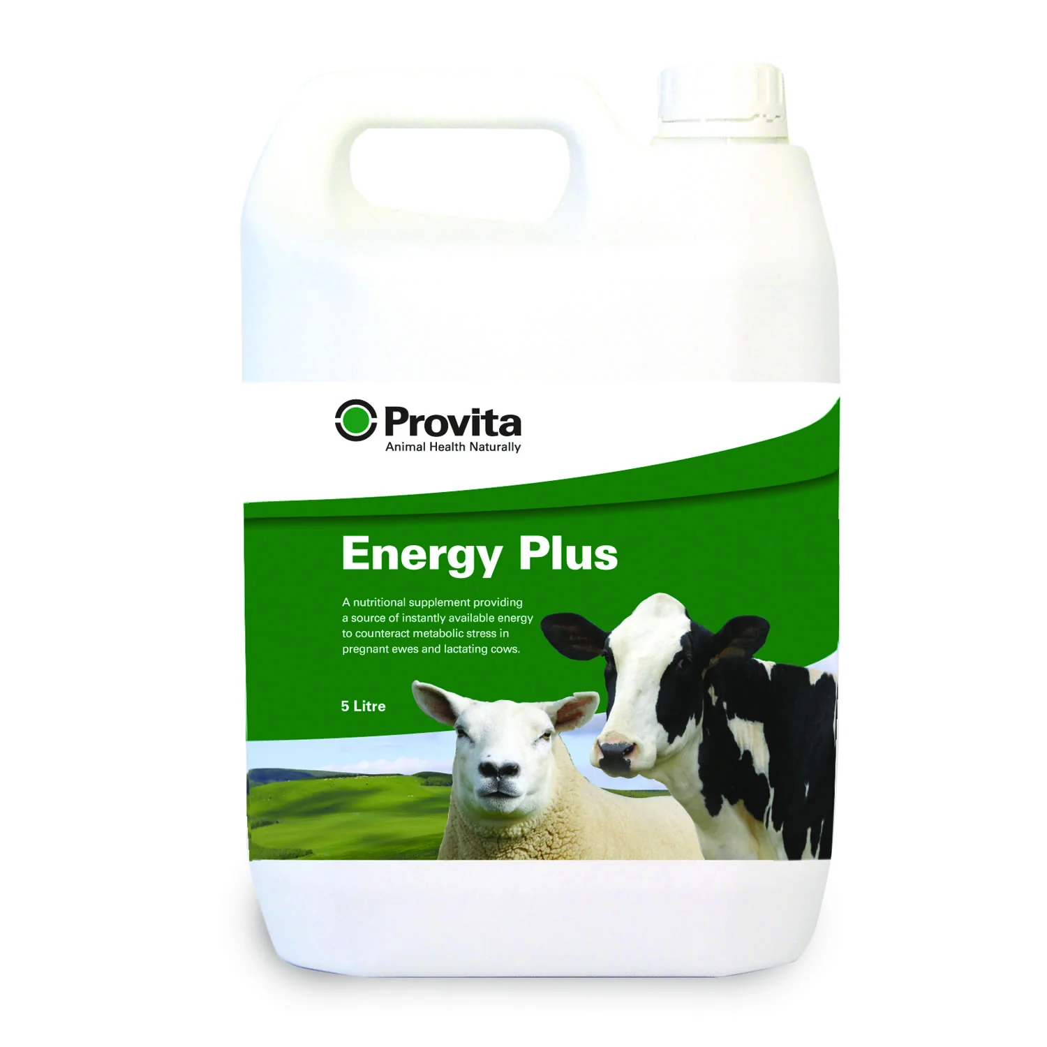 Provita Energy Plus - Image 3