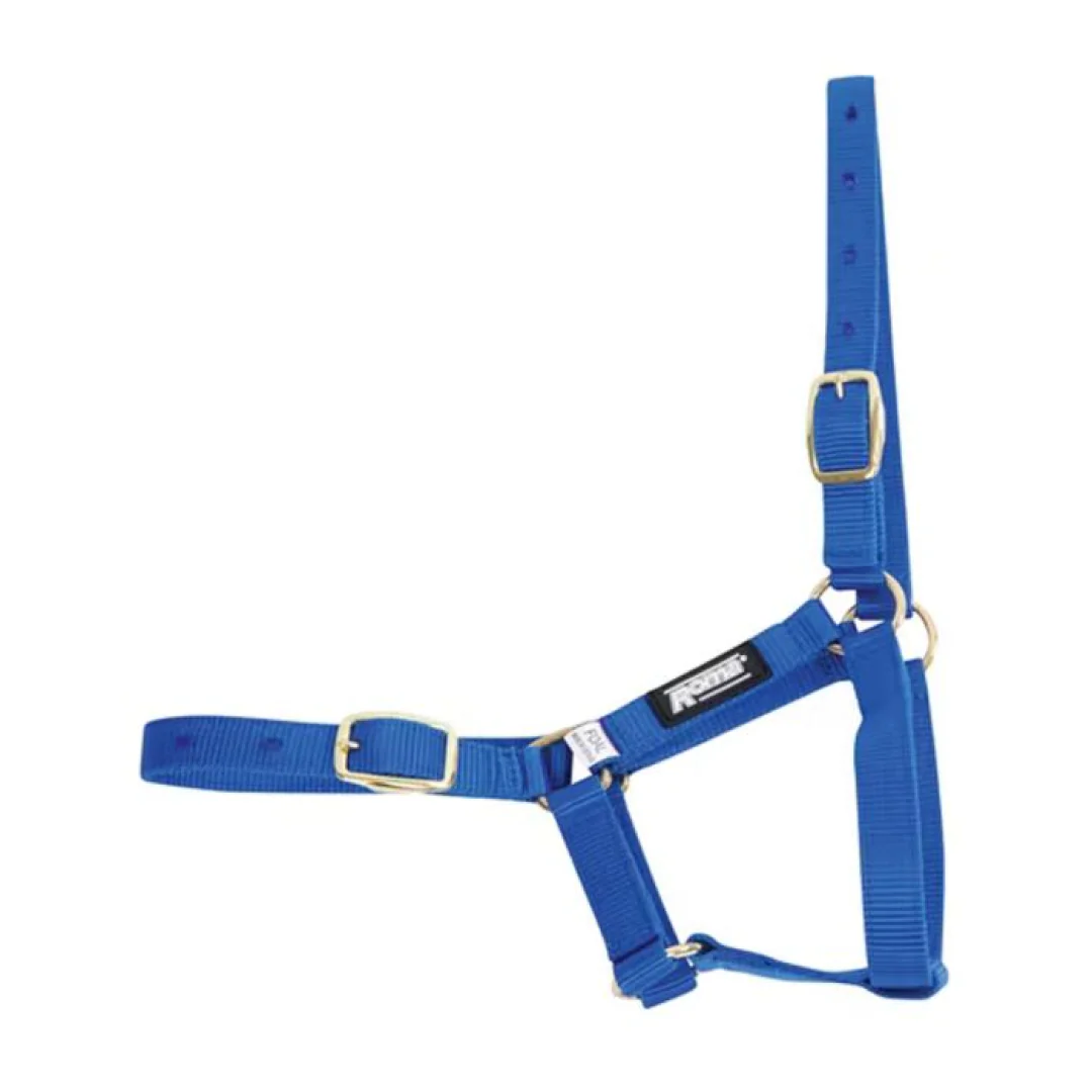 Roma Foal Headcollar - Image 2