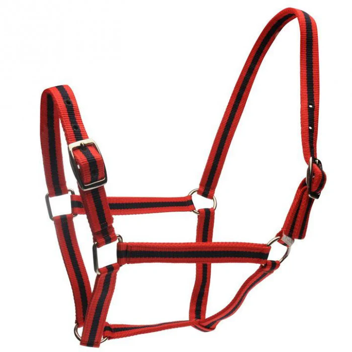 Roma Head Collar & Lead Set - Image 4