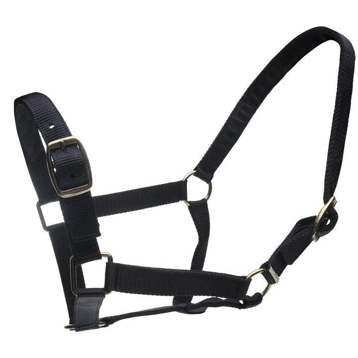 Roma Head Collar & Lead Set - Image 5