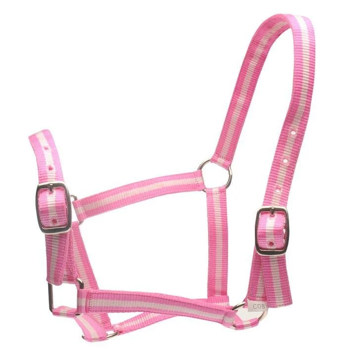 Roma Head Collar & Lead Set - Image 6
