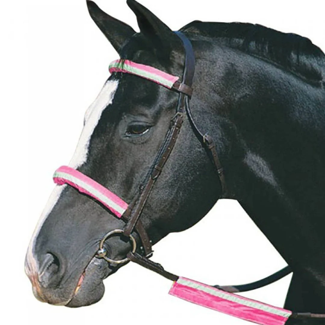 Roma Reflective Bridle Kit - Image 2