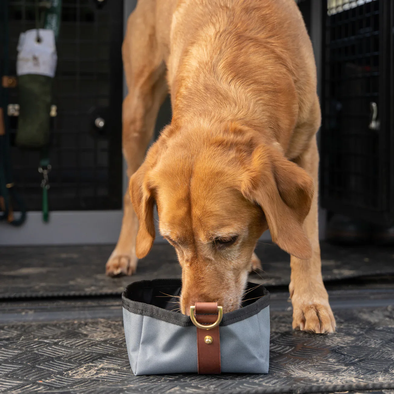 Ruff & Tumble Foldable Travel Bowl - Image 6