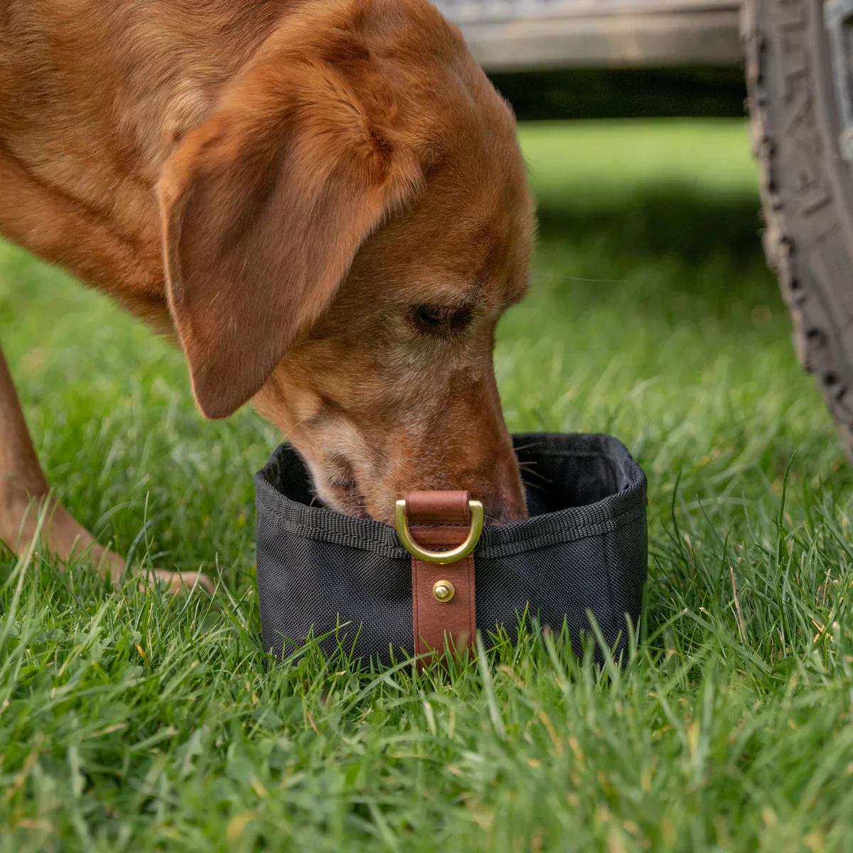 Ruff & Tumble Foldable Travel Bowl - Image 9