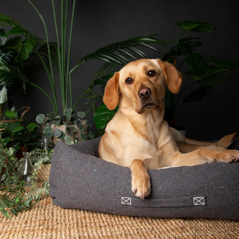Scruffs Eco Eden Box Bed - Image 3