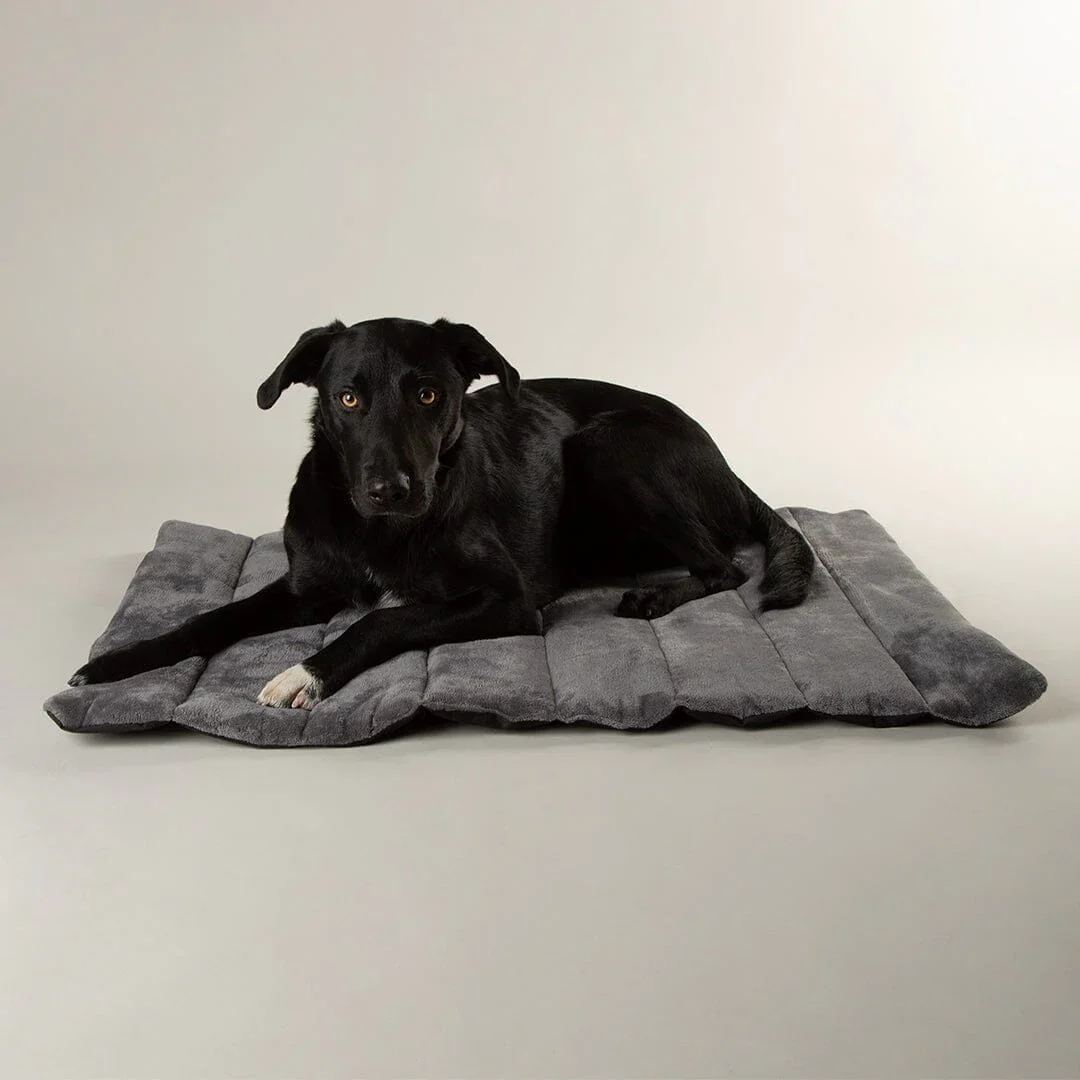 Scruffs Expedition Roll Up Travel Pet Bed - Image 11