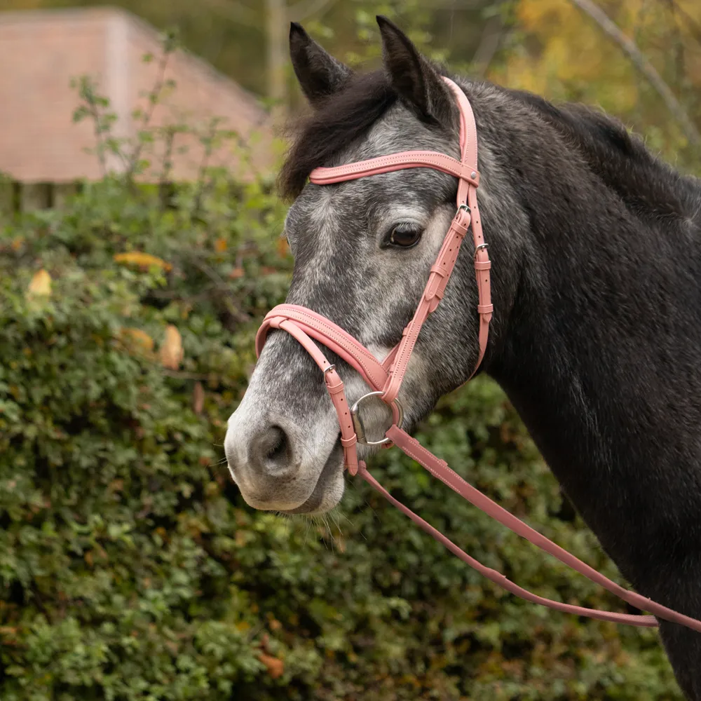 Serena Bridle by Little Rider - Image 2