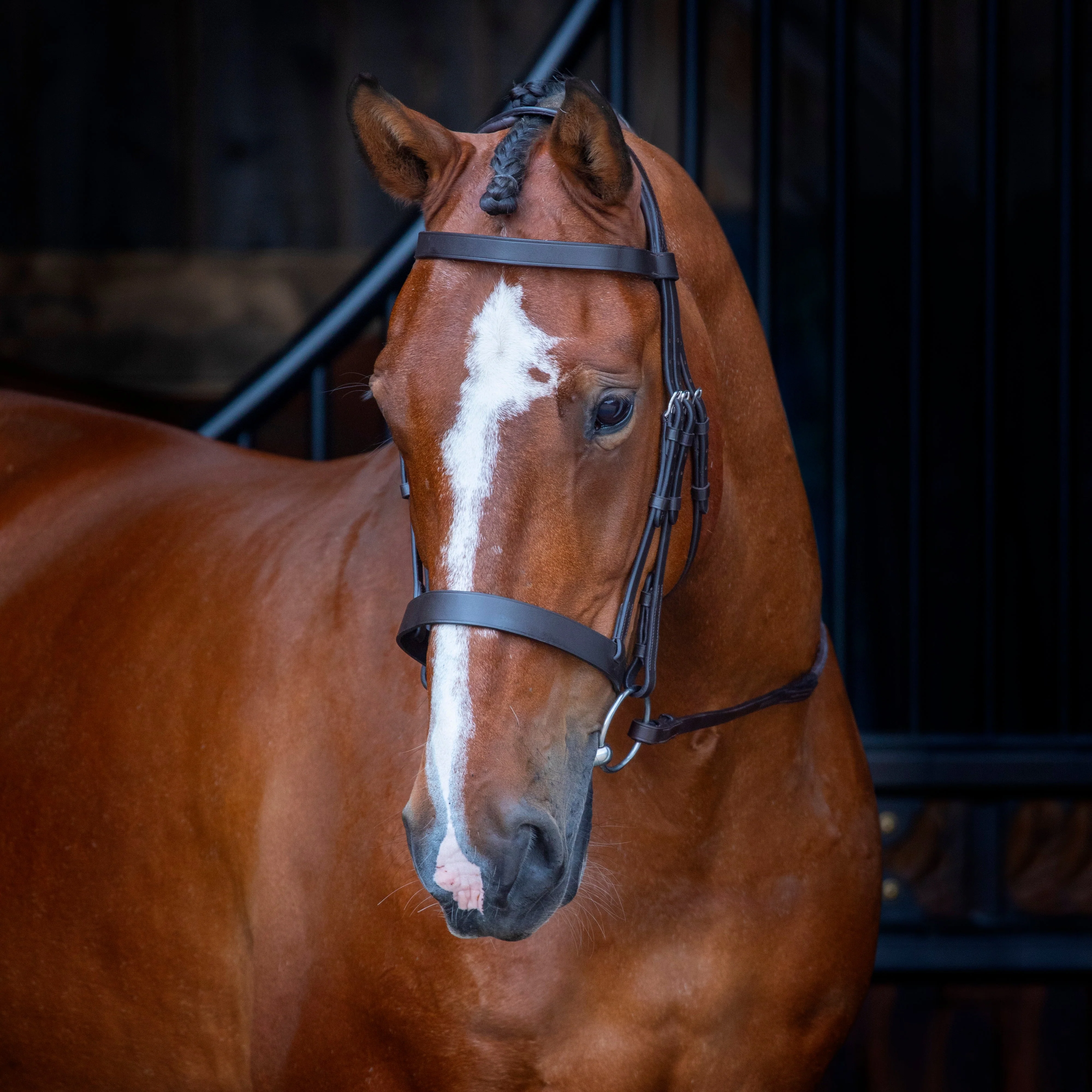 Shires Velociti RAPIDA  Hunter Cavesson Bridle - Image 3
