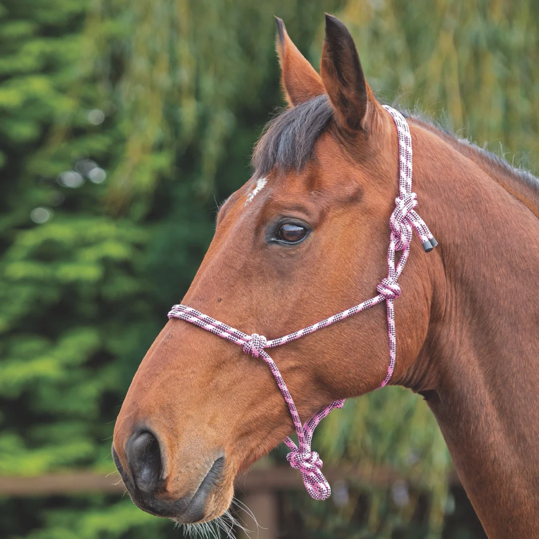 Shires Rope Control Headcollar - Image 2