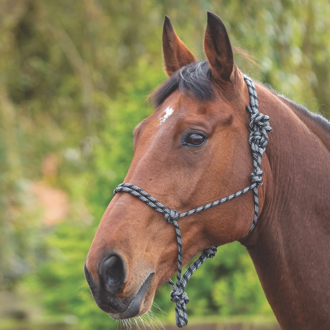 Shires Rope Control Headcollar - Image 3