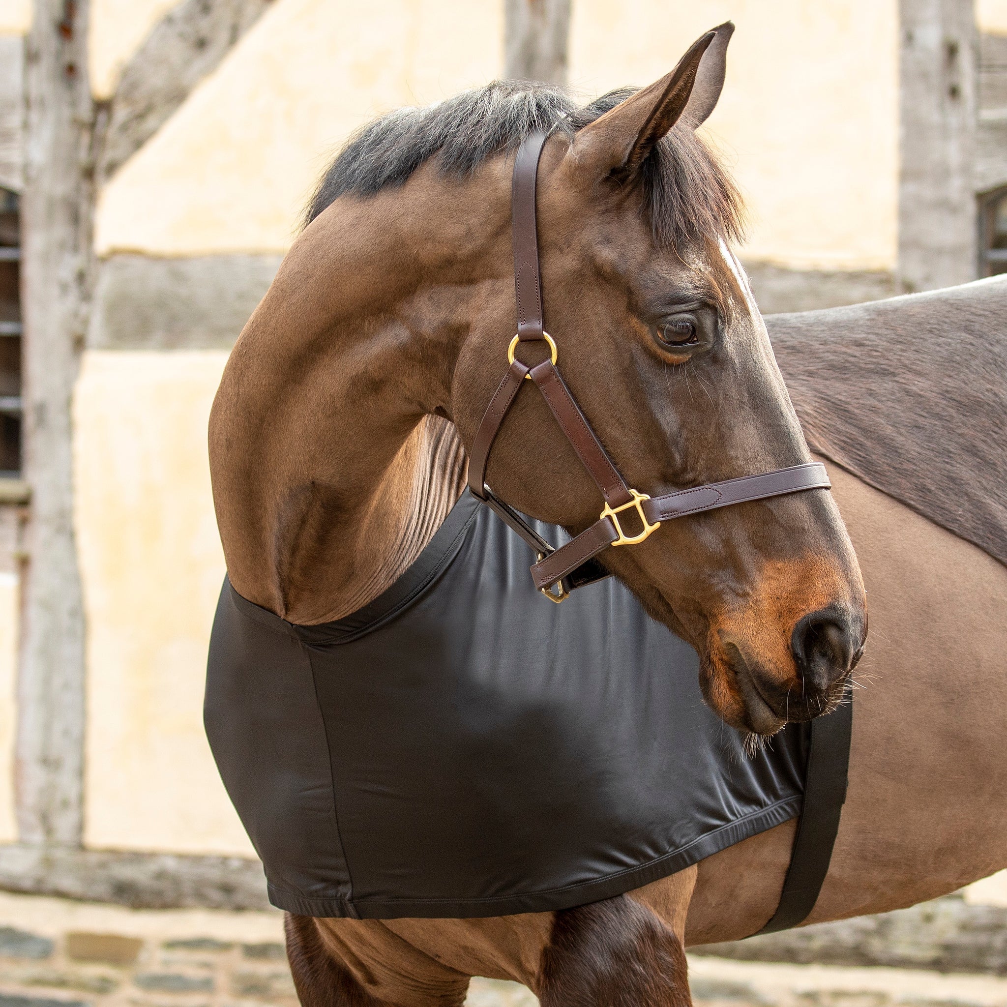 Shires Anti-Rub Stretch Vest - Image 2
