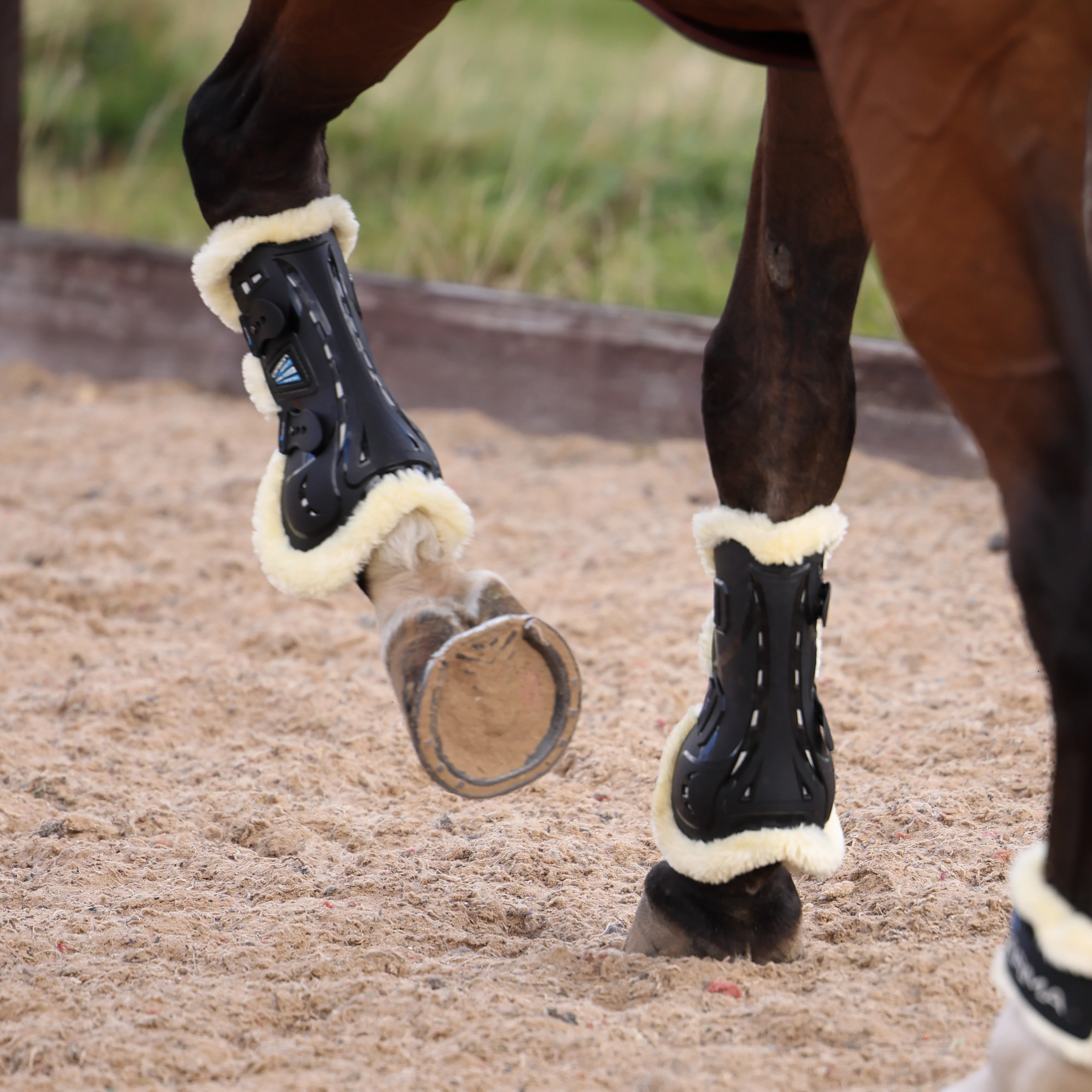 Shires ARMA Carbon SupaFleece Tendon Boots - Image 20