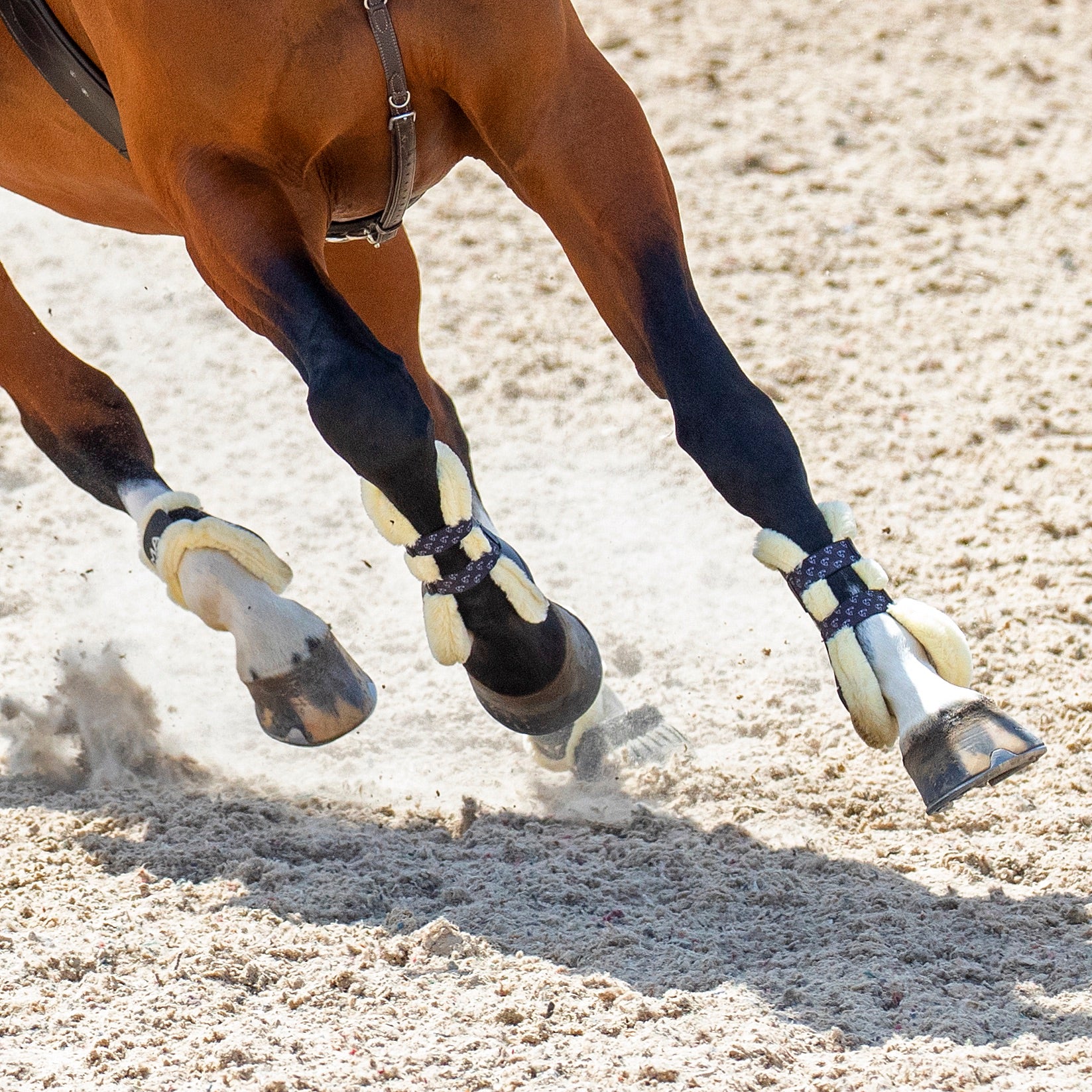 Shires ARMA Carbon SupaFleece Tendon Boots - Image 29