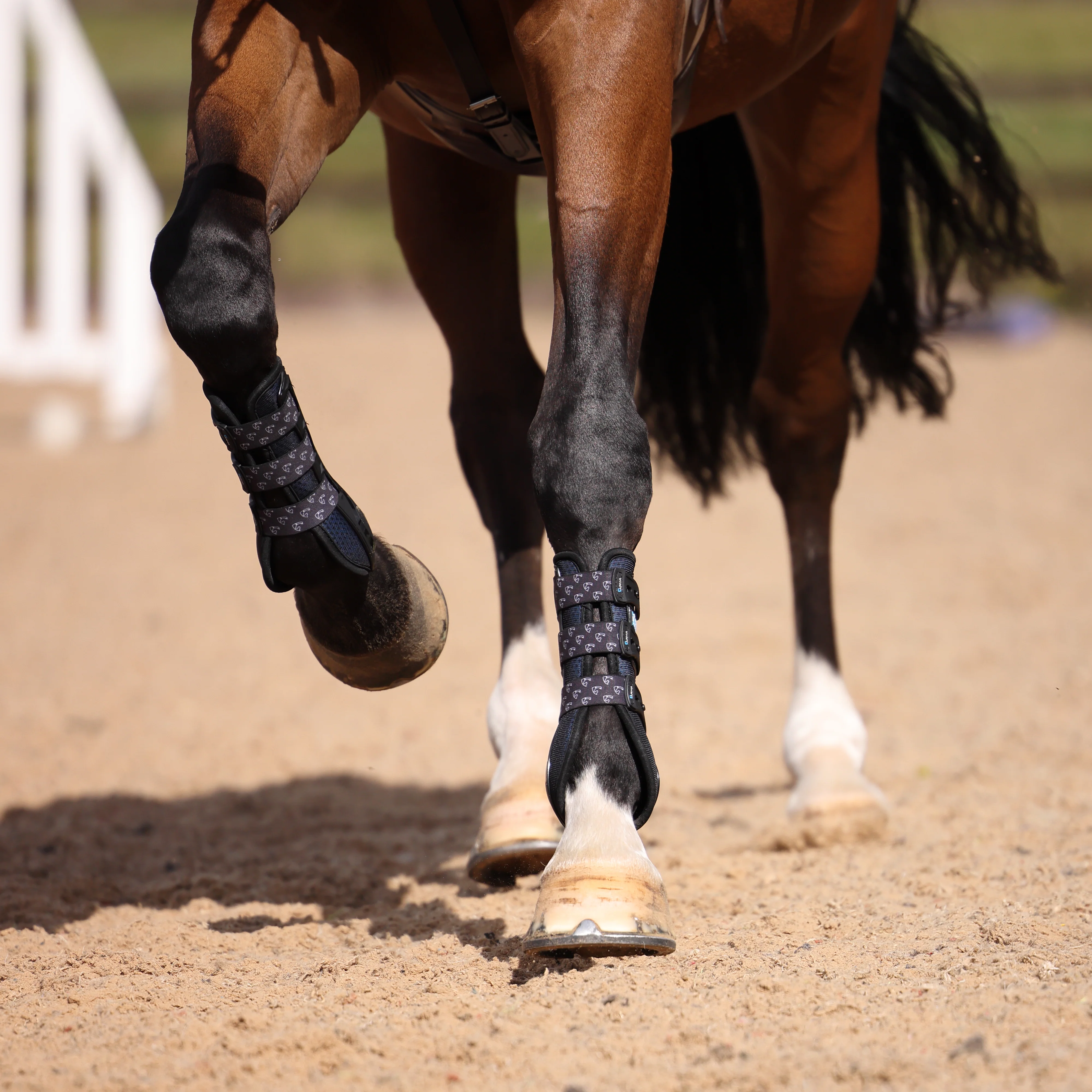 Shires ARMA Carbon Tendon Boots - Image 17
