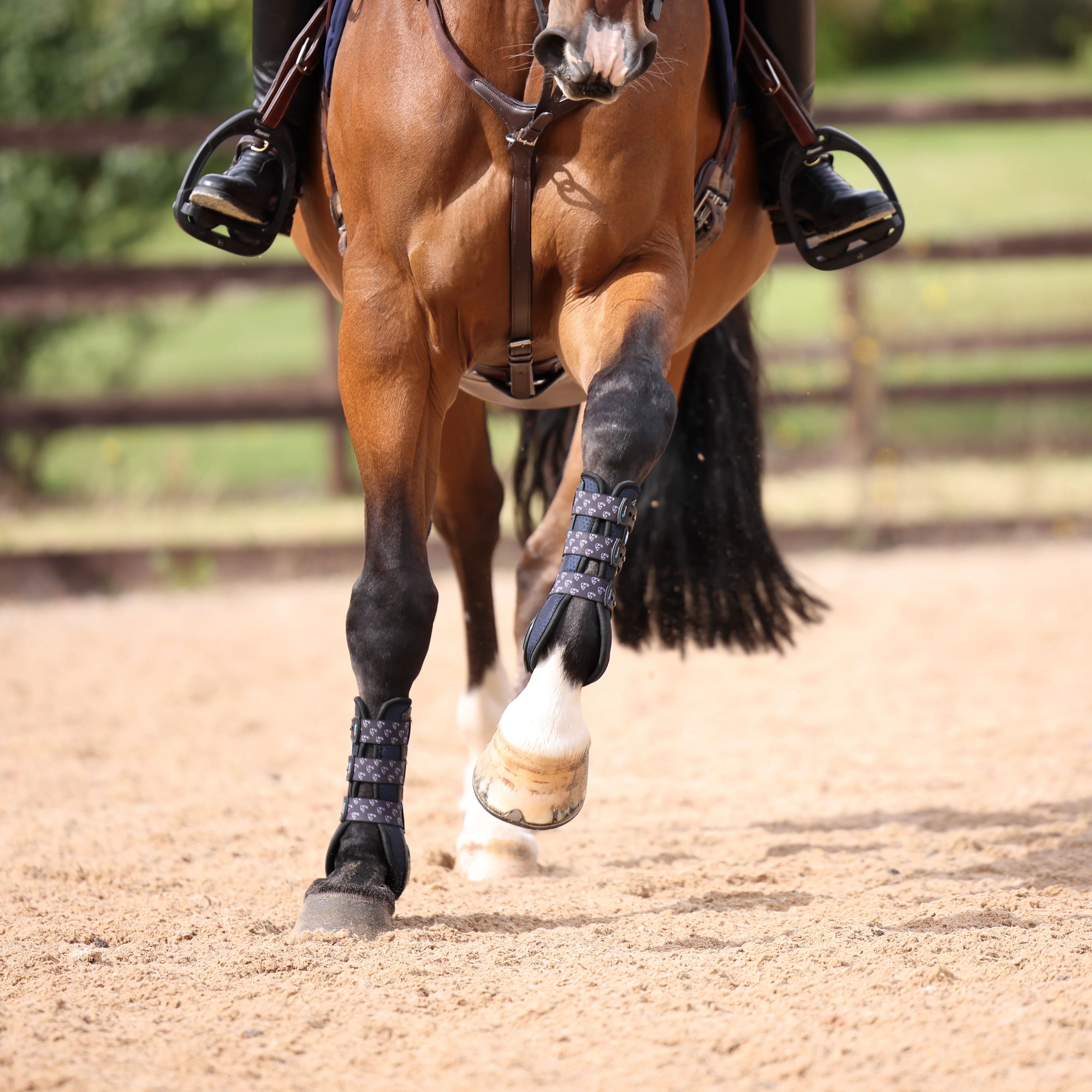 Shires ARMA Carbon Tendon Boots - Image 18