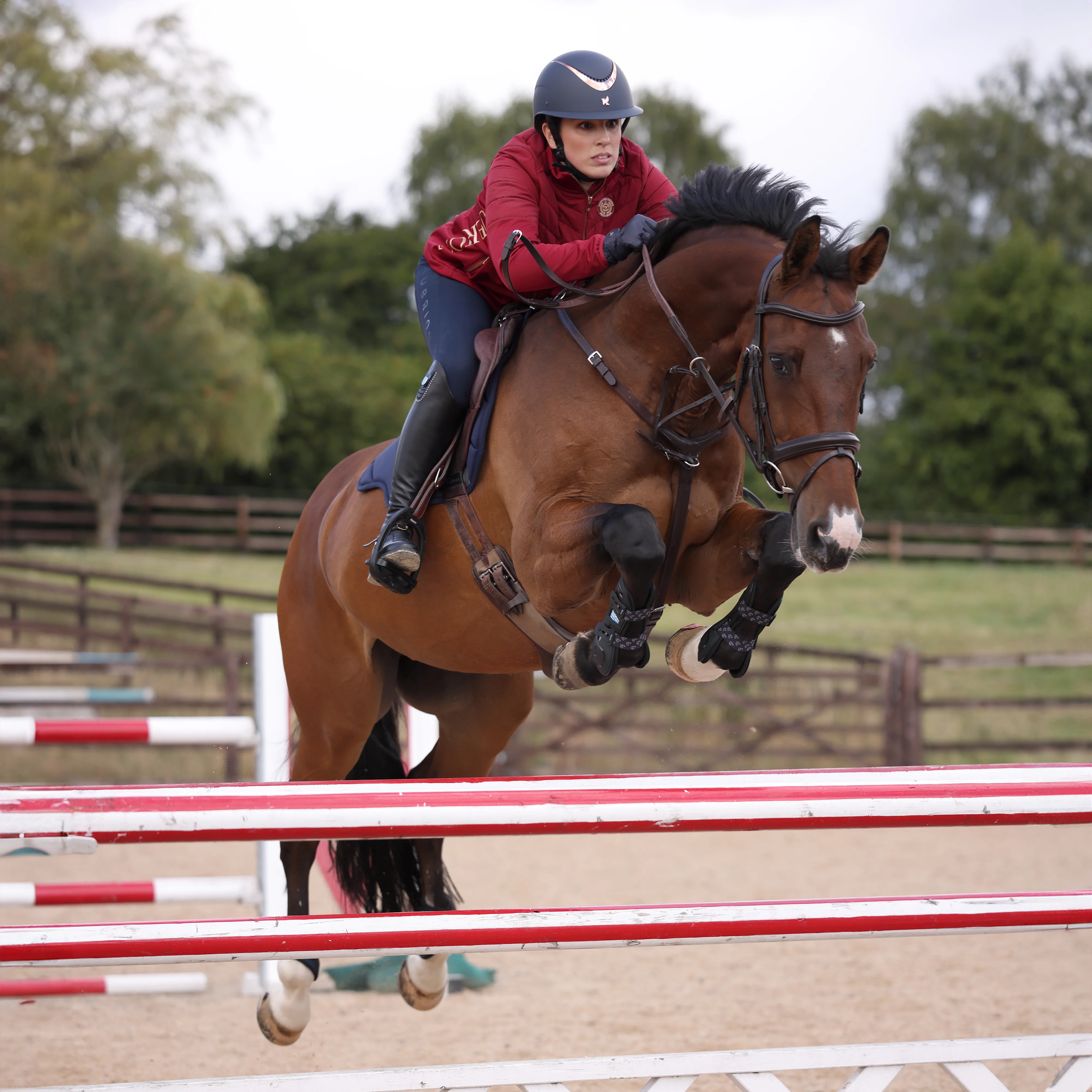 Shires ARMA Carbon Tendon Boots - Image 19