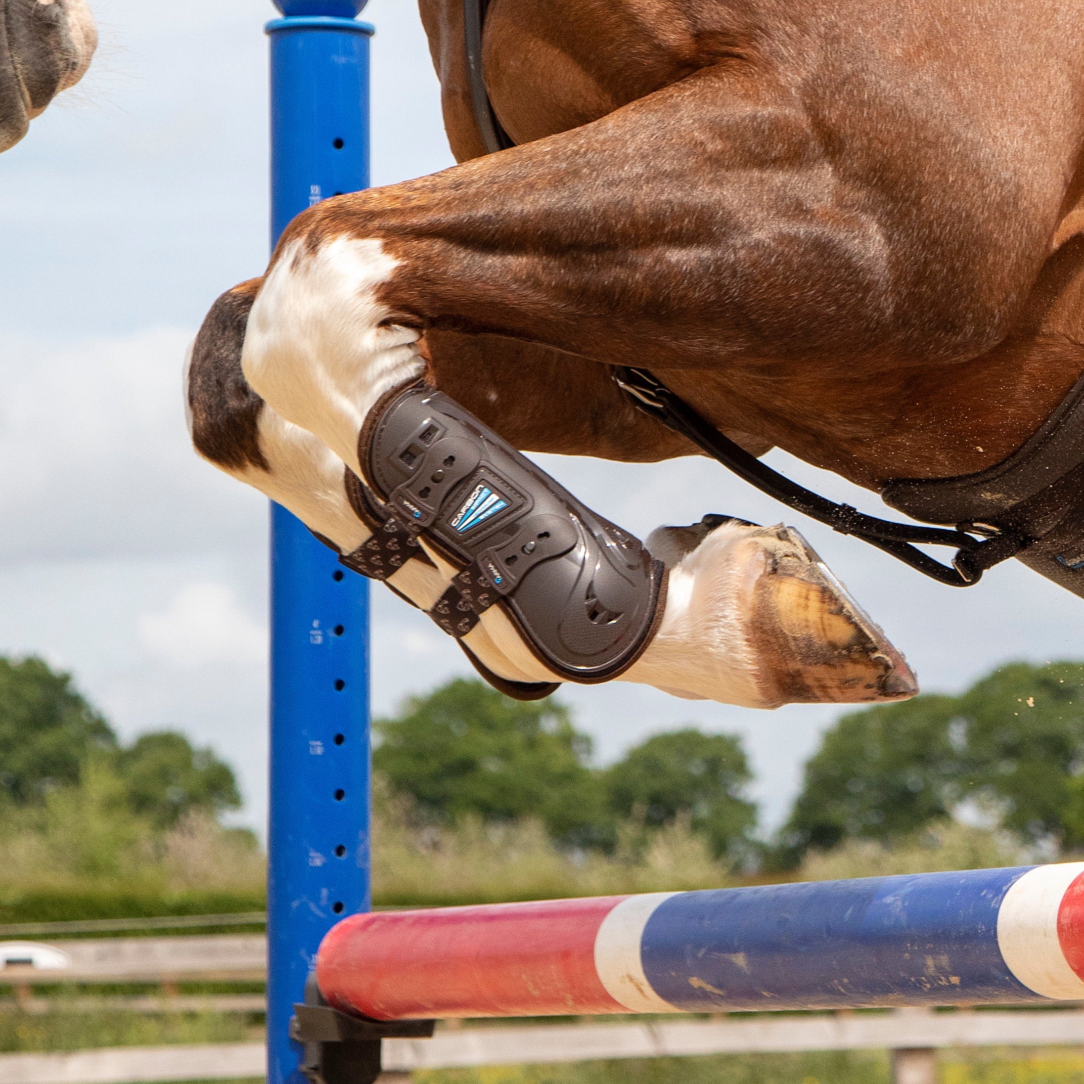 Shires ARMA Carbon Tendon Boots - Image 21