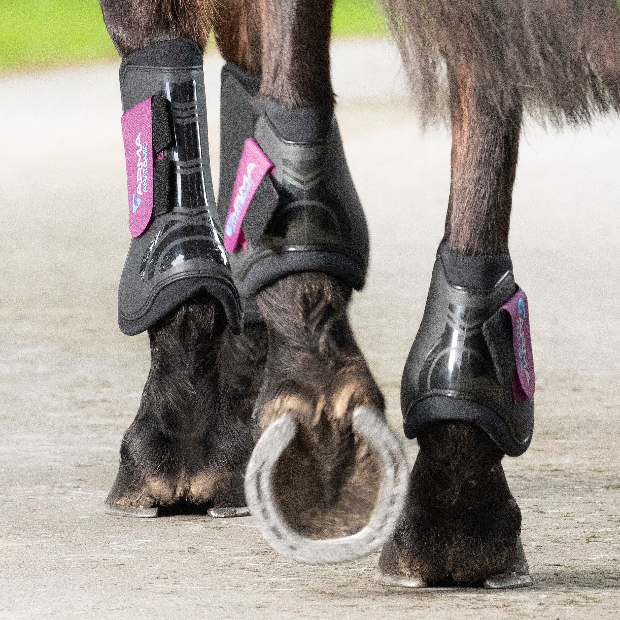 Shires ARMA Fetlock Boots - Image 3