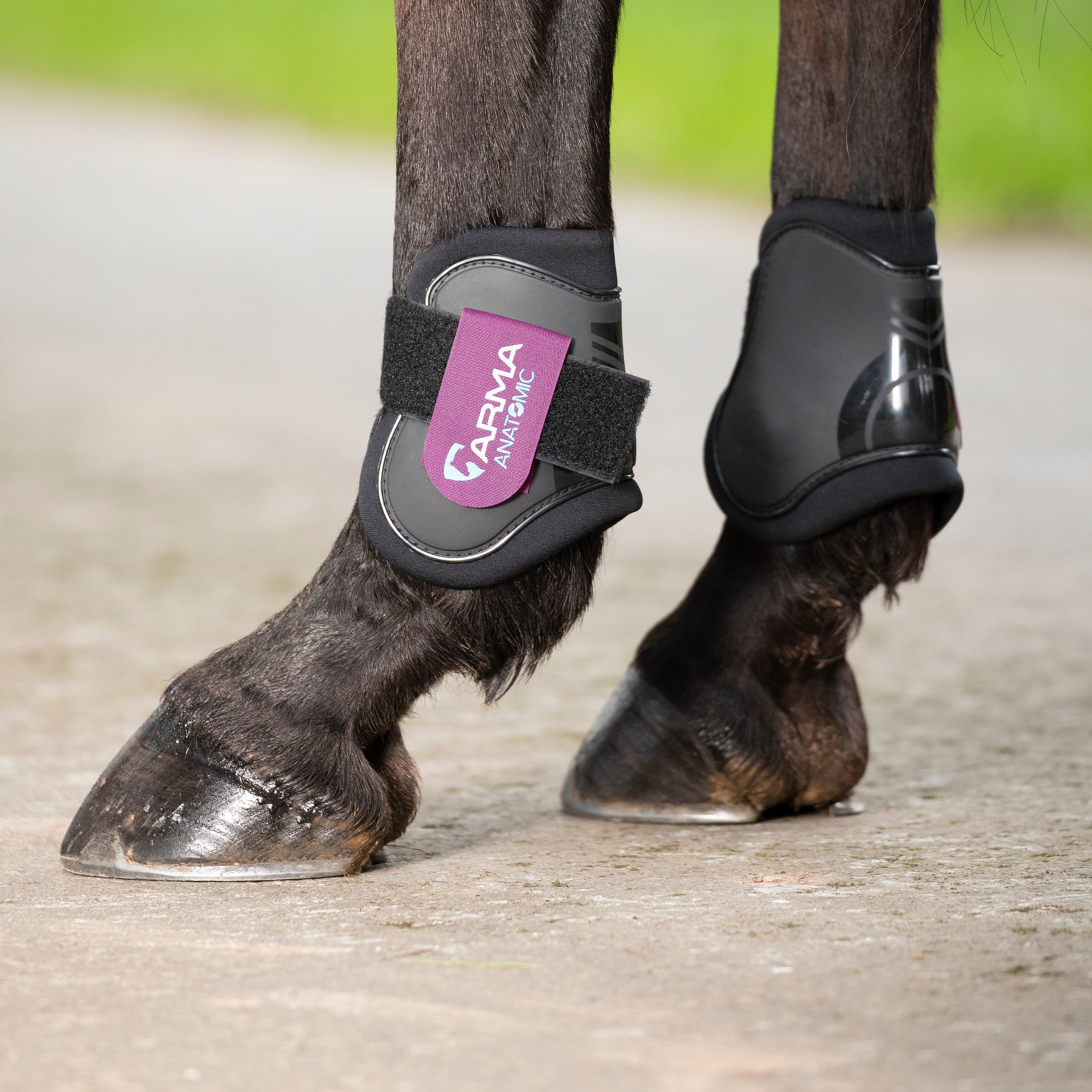 Shires ARMA Fetlock Boots - Image 6