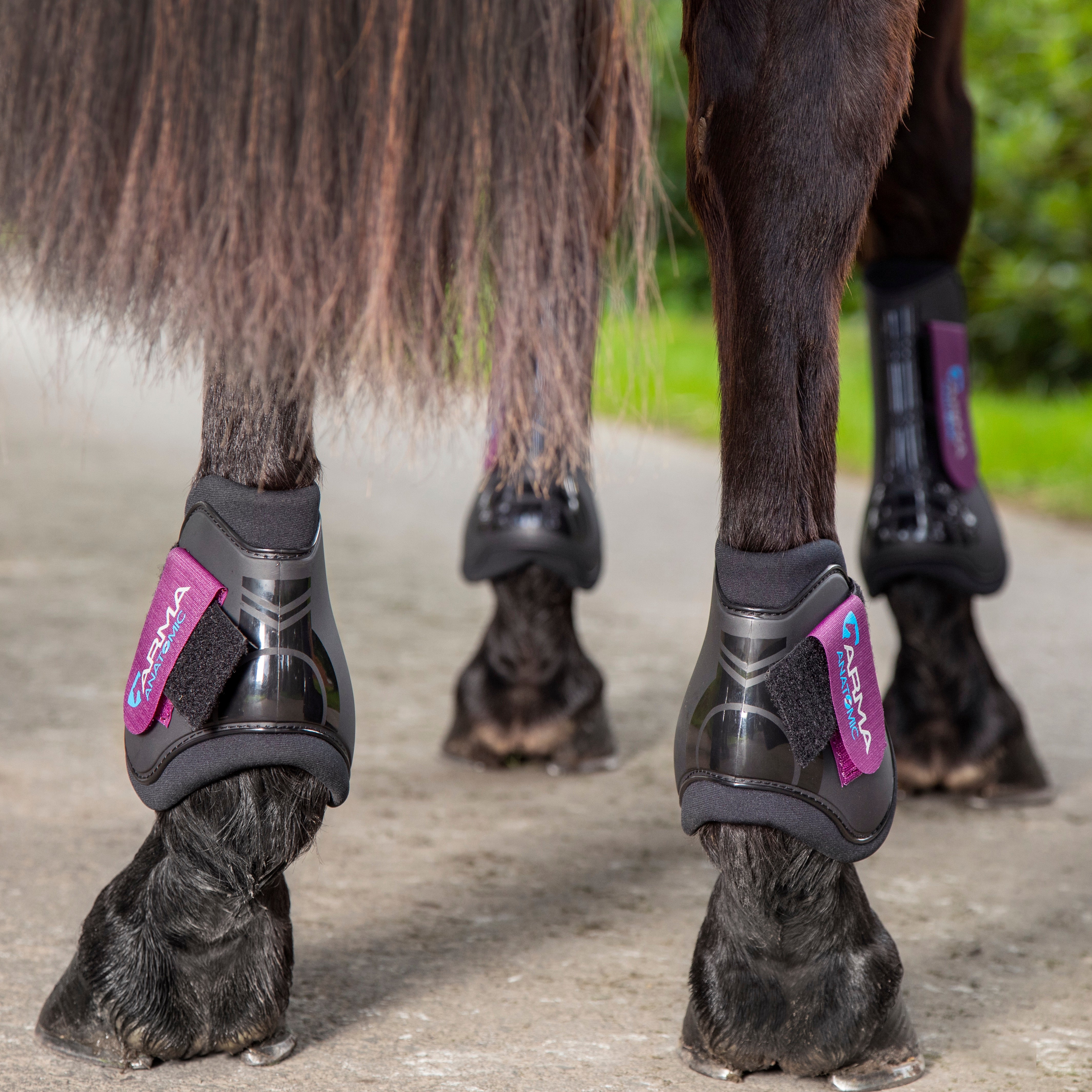 Shires ARMA Fetlock Boots - Image 7