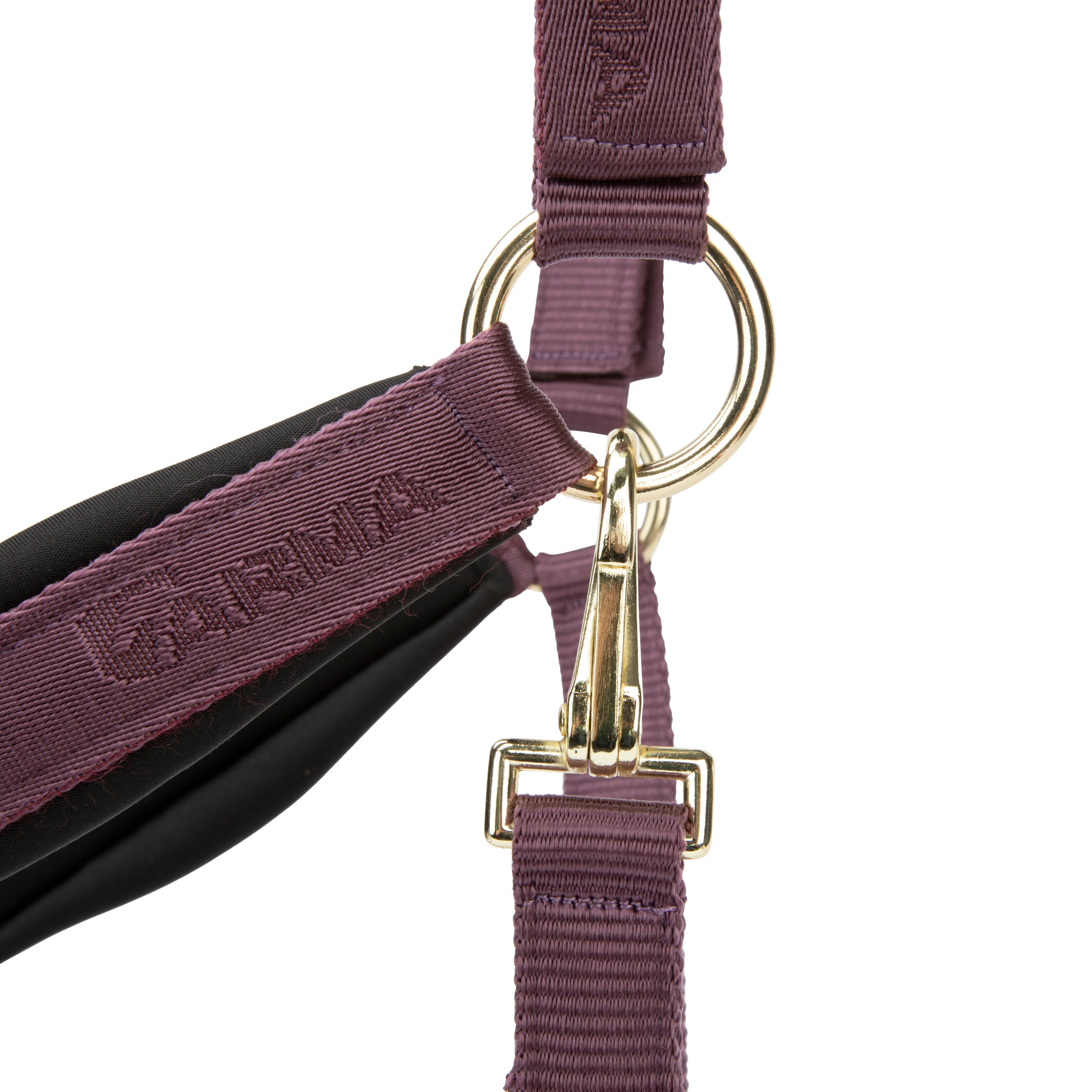 Shires ARMA Padded Headcollar - Image 26