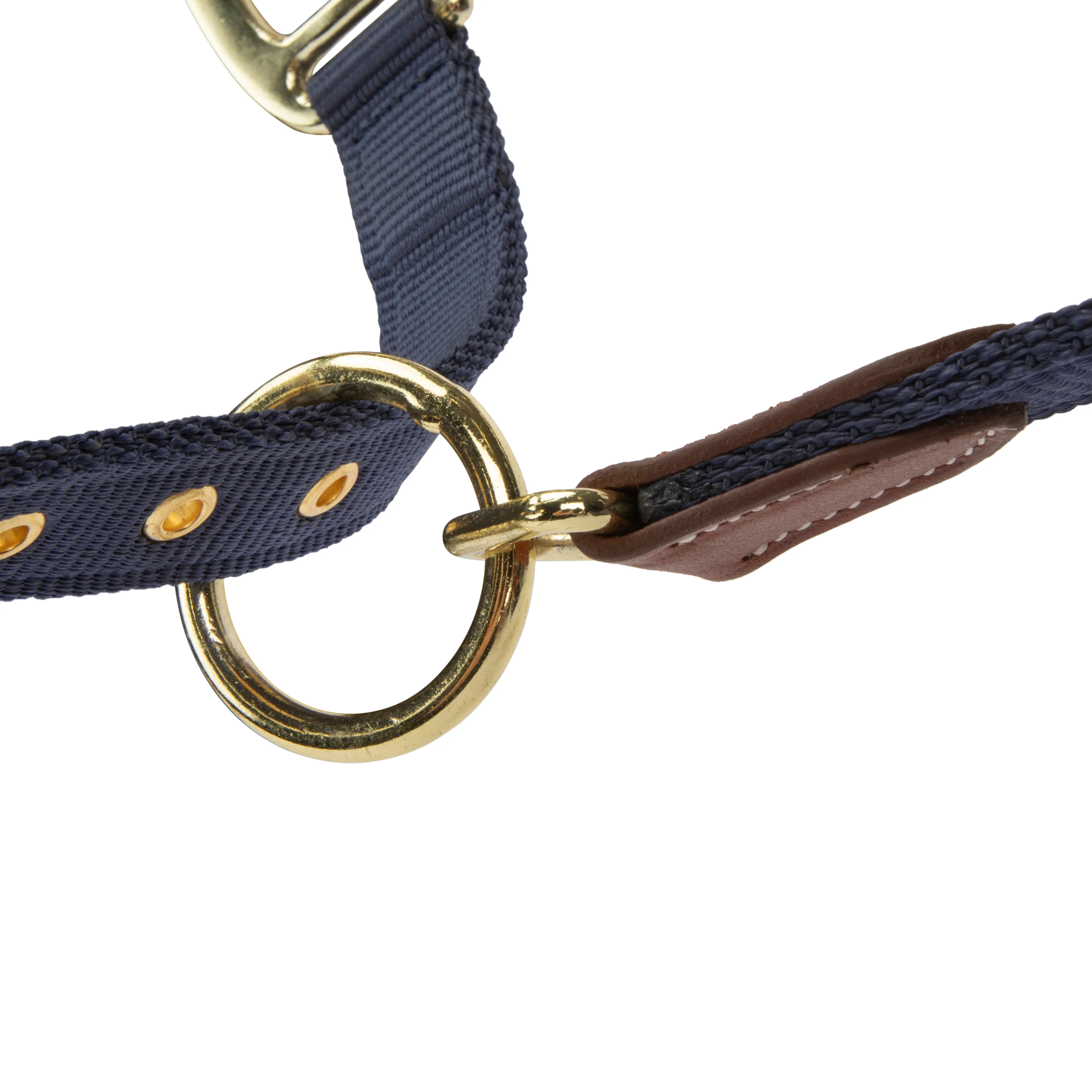Shires ARMA Porto Headcollar - Image 27