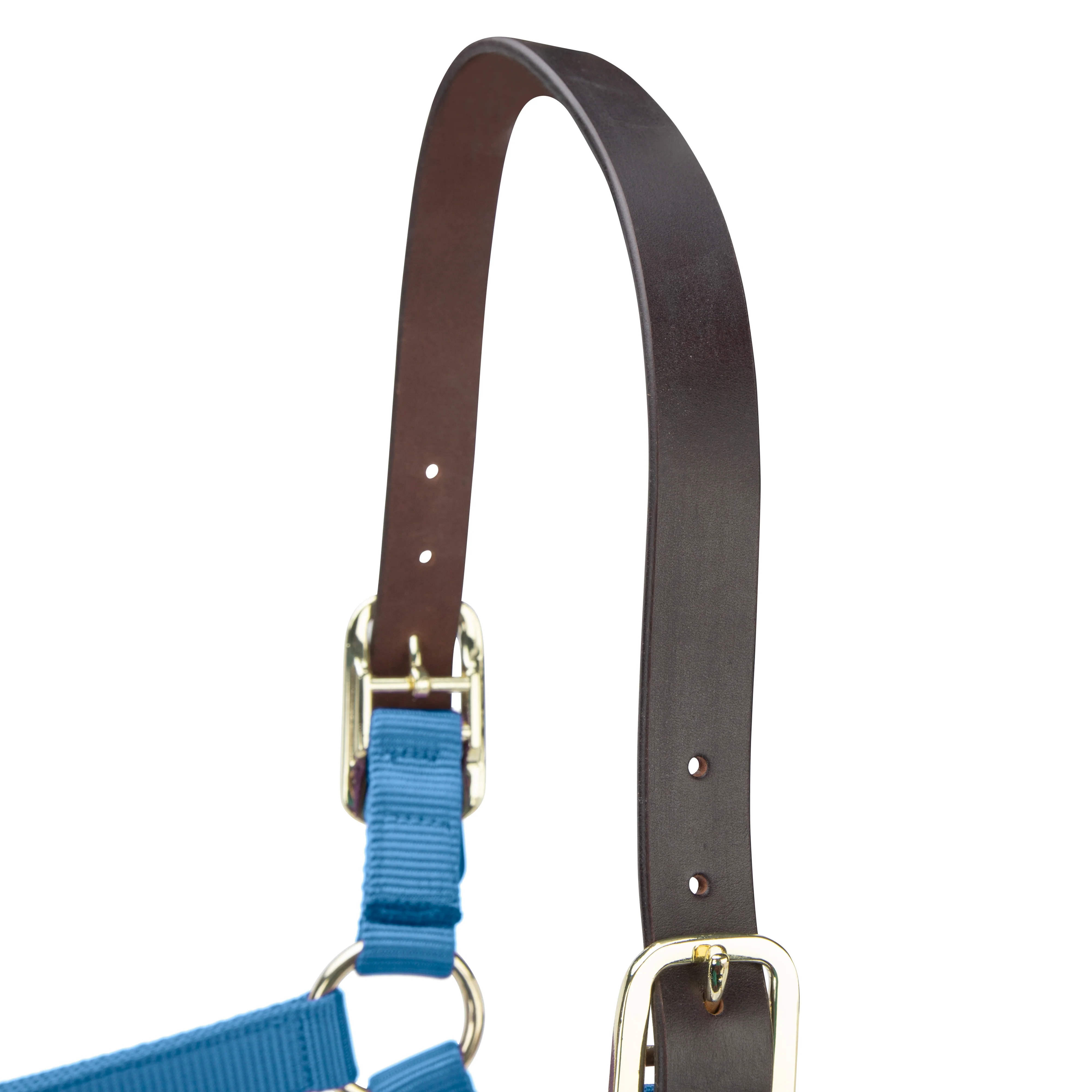 Shires ARMA Premium Adjustable FieldSafe Headcollar - Image 29