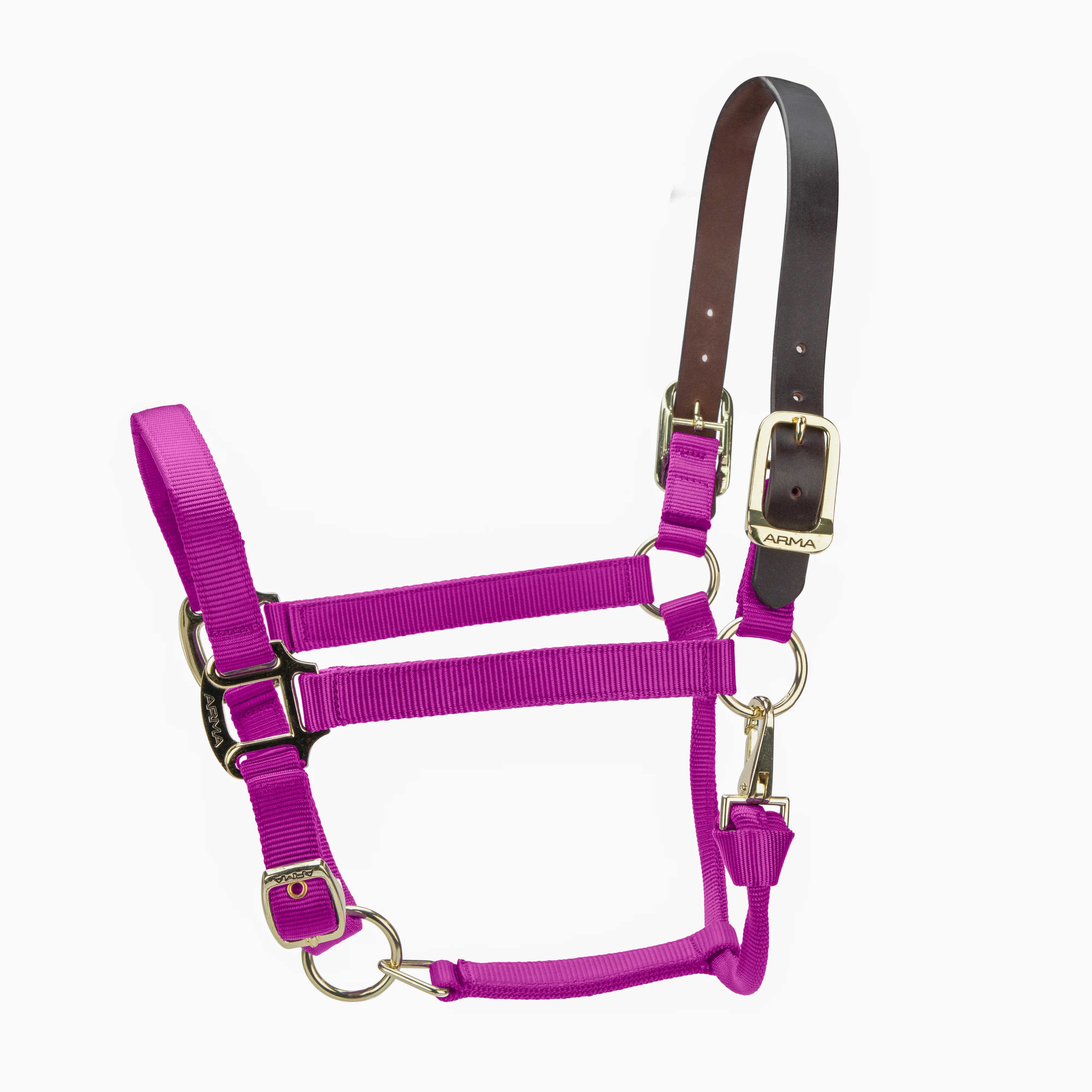 Shires ARMA Premium Adjustable FieldSafe Headcollar - Image 30