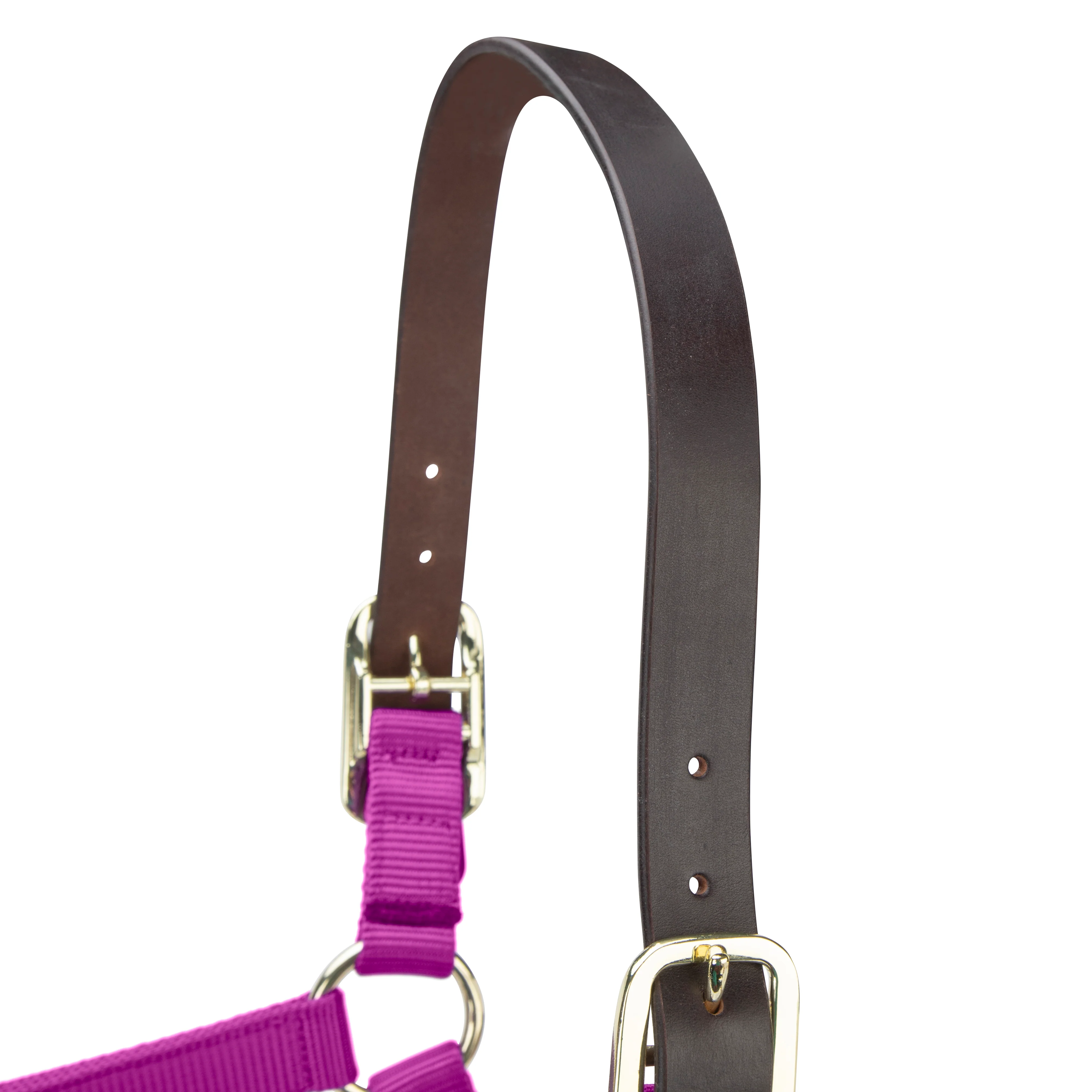 Shires ARMA Premium Adjustable FieldSafe Headcollar - Image 32