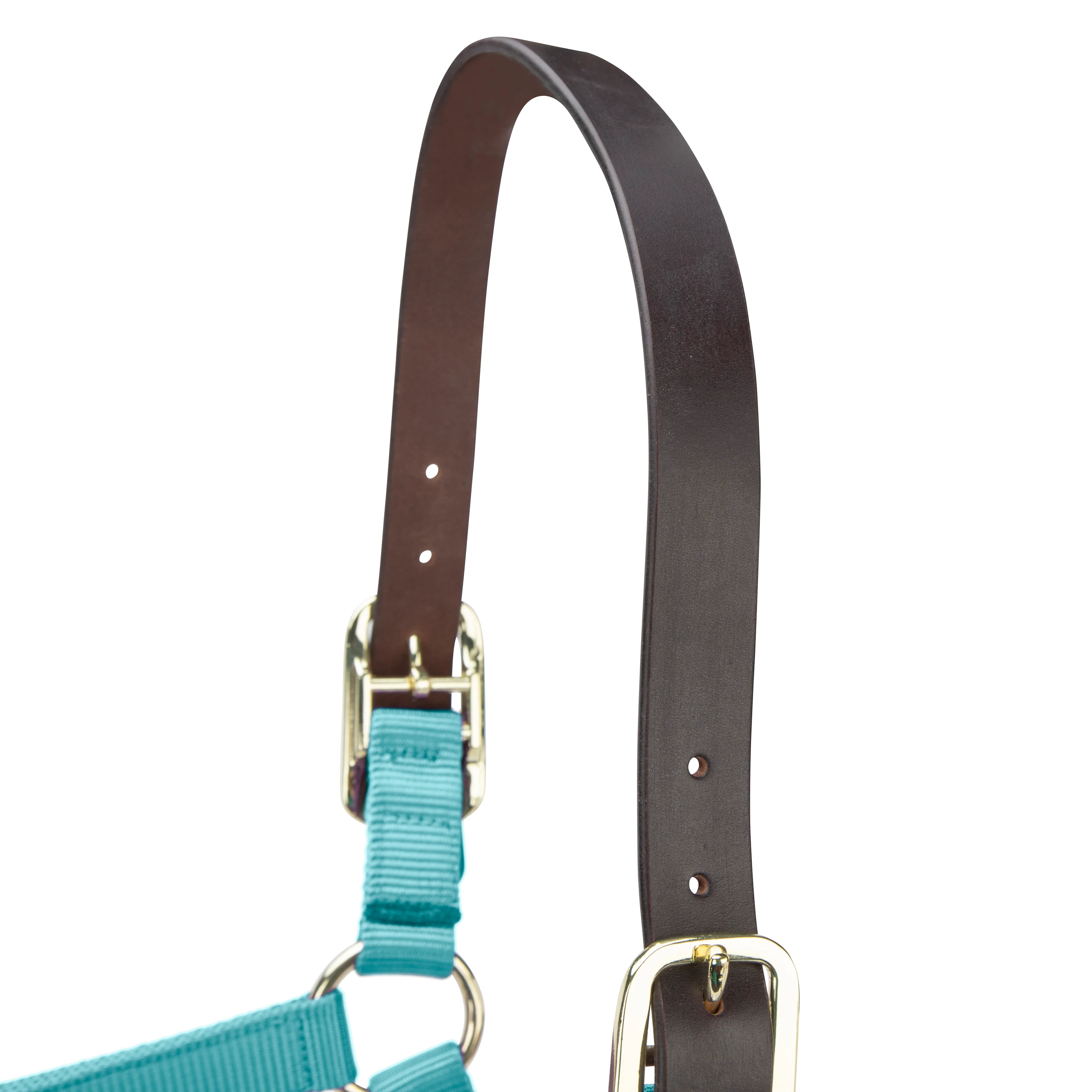 Shires ARMA Premium Adjustable FieldSafe Headcollar - Image 36