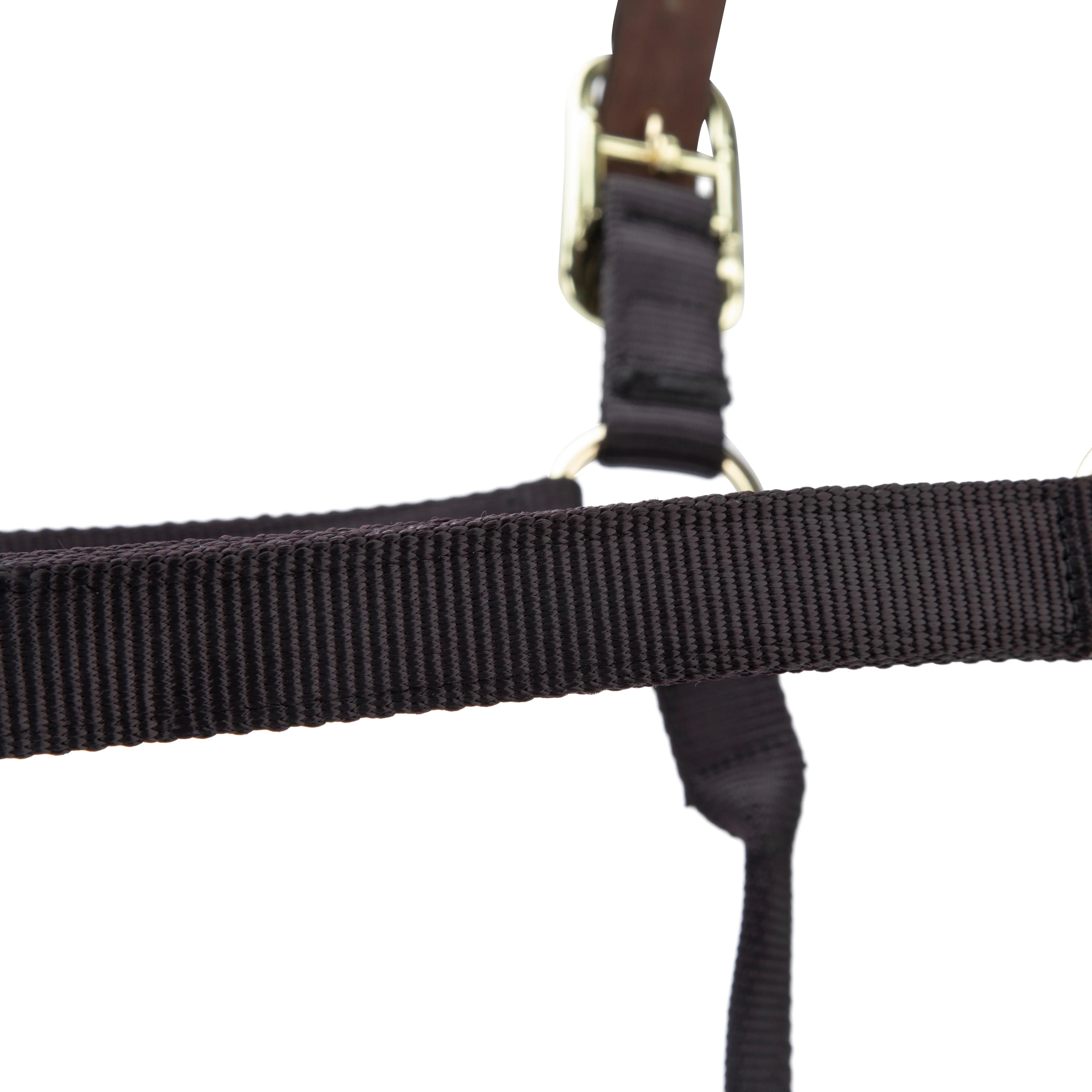 Shires ARMA Premium Adjustable FieldSafe Headcollar - Image 4